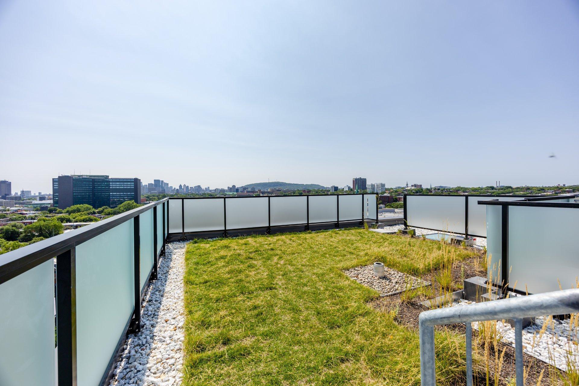 









1971


Rue du Havre

, 304,
Montréal (Ville-Marie),




QC
H2K0E5


