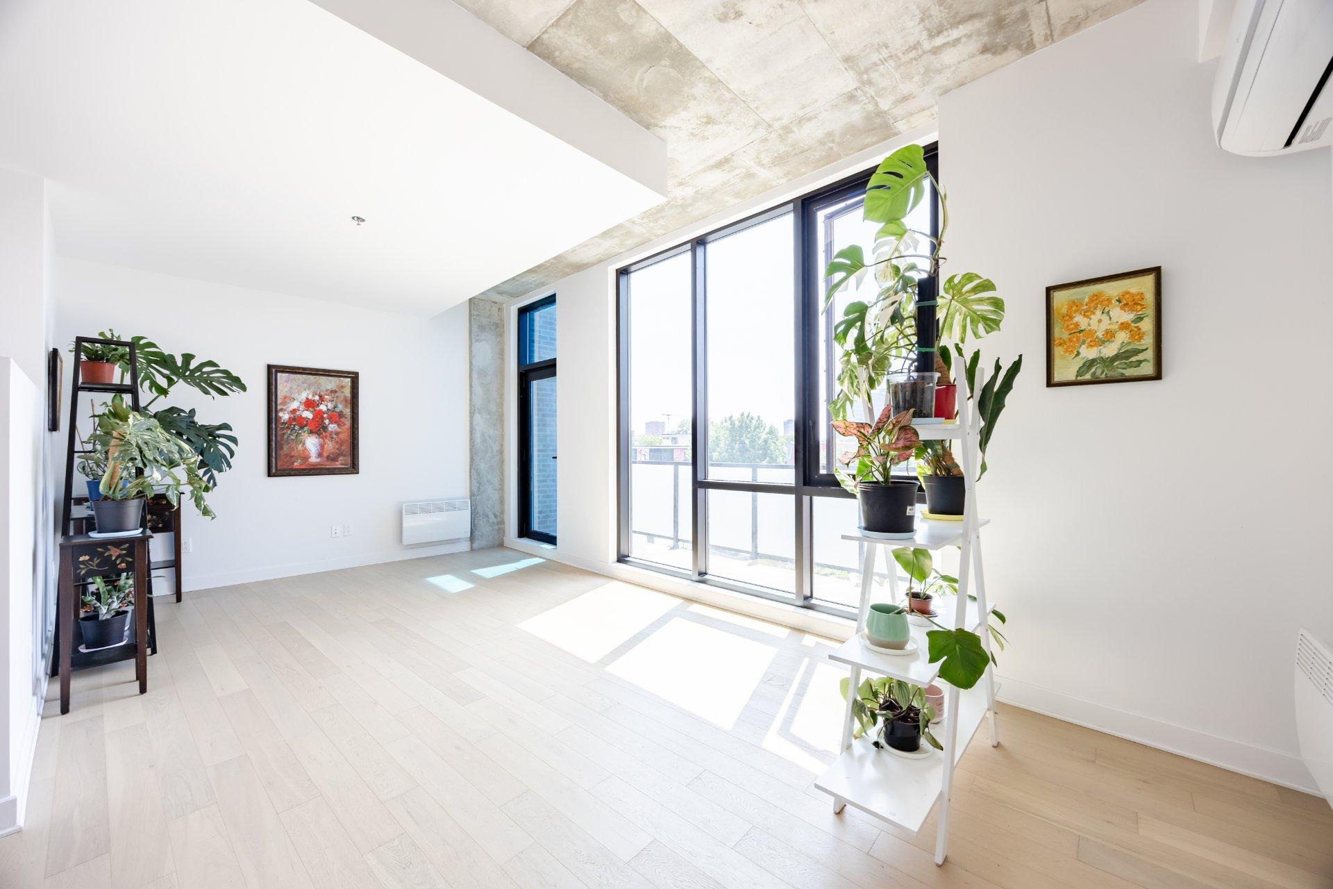 









1971


Rue du Havre

, 304,
Montréal (Ville-Marie),




QC
H2K0E5

