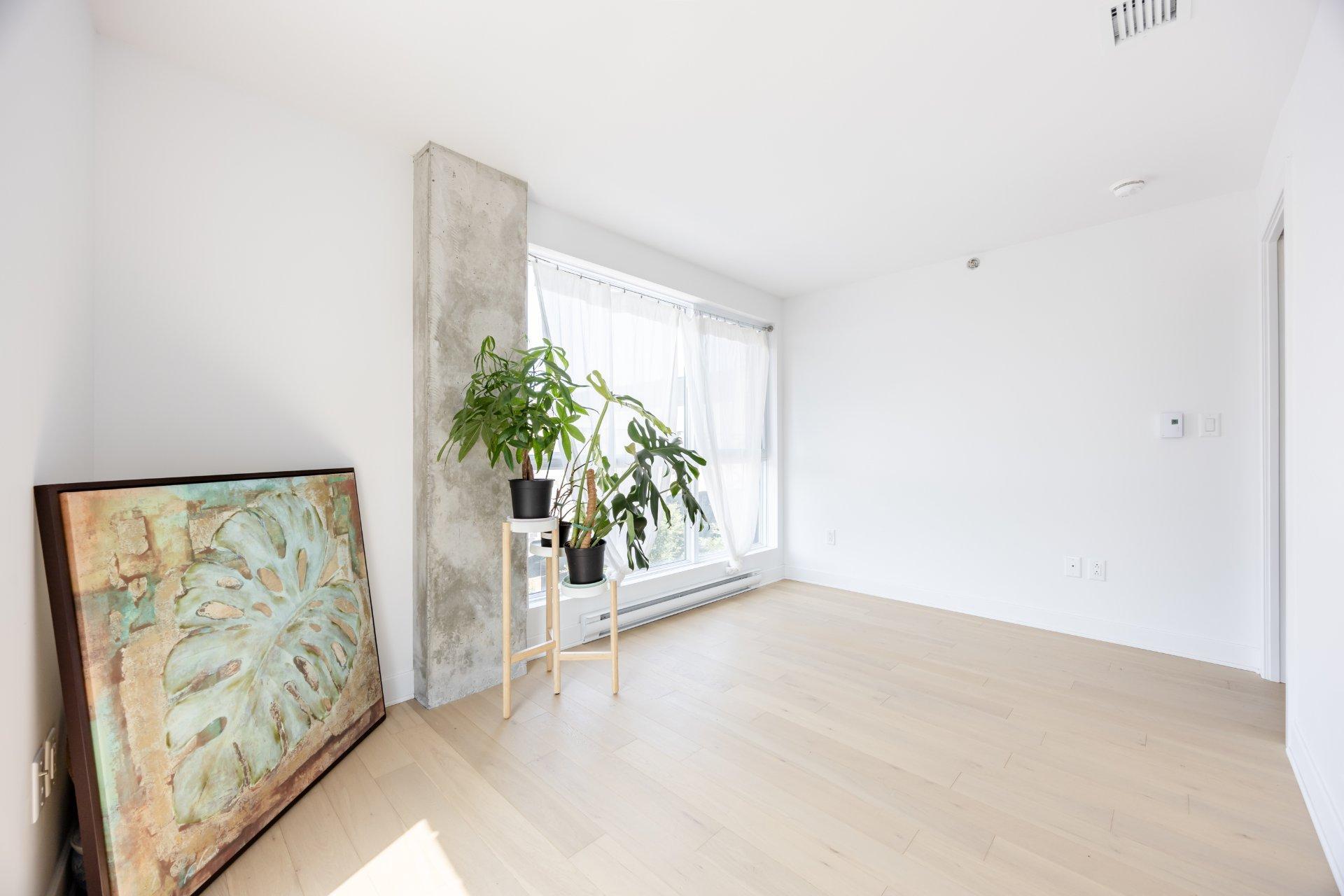 









1971


Rue du Havre

, 304,
Montréal (Ville-Marie),




QC
H2K0E5

