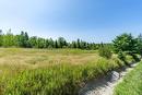Terre/Terrain