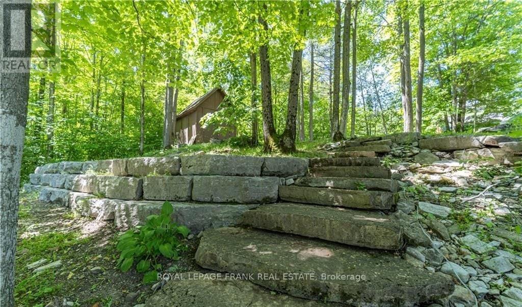 












8 FIRE ROUTE 27

,
Trent Lakes,




Ontario
K0L1J0


