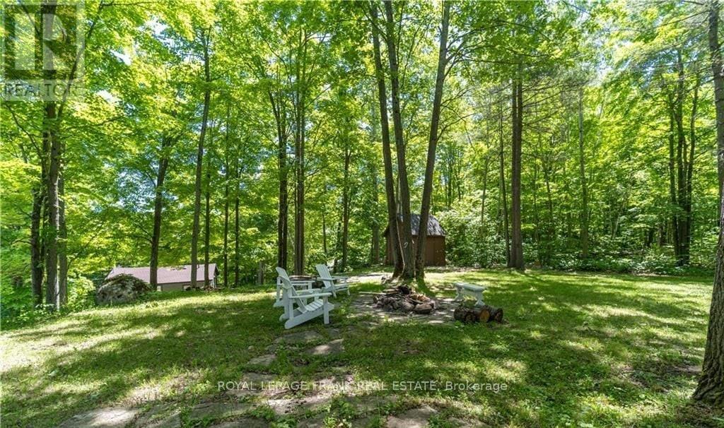 












8 FIRE ROUTE 27

,
Trent Lakes,




Ontario
K0L1J0

