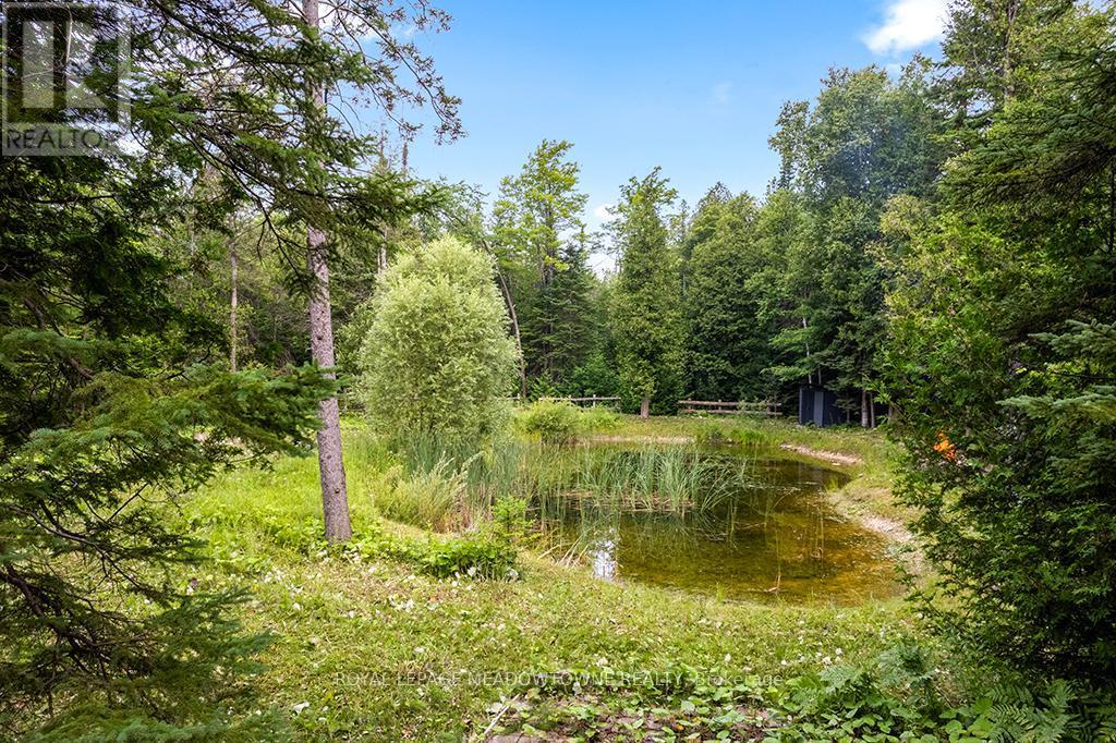 












126 HIGHLAND DRIVE

,
West Grey,







Ontario
N0C1H0

