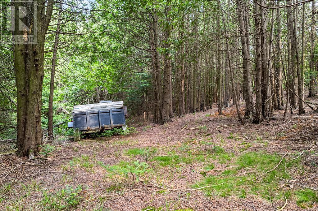 












126 HIGHLAND DRIVE

,
West Grey,







Ontario
N0C1H0

