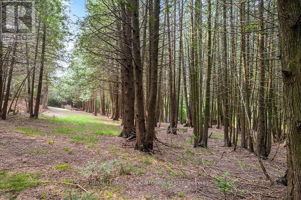 












126 HIGHLAND DRIVE

,
West Grey,







Ontario
N0C1H0

