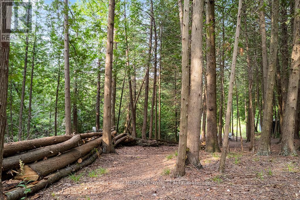 












126 HIGHLAND DRIVE

,
West Grey,







Ontario
N0C1H0

