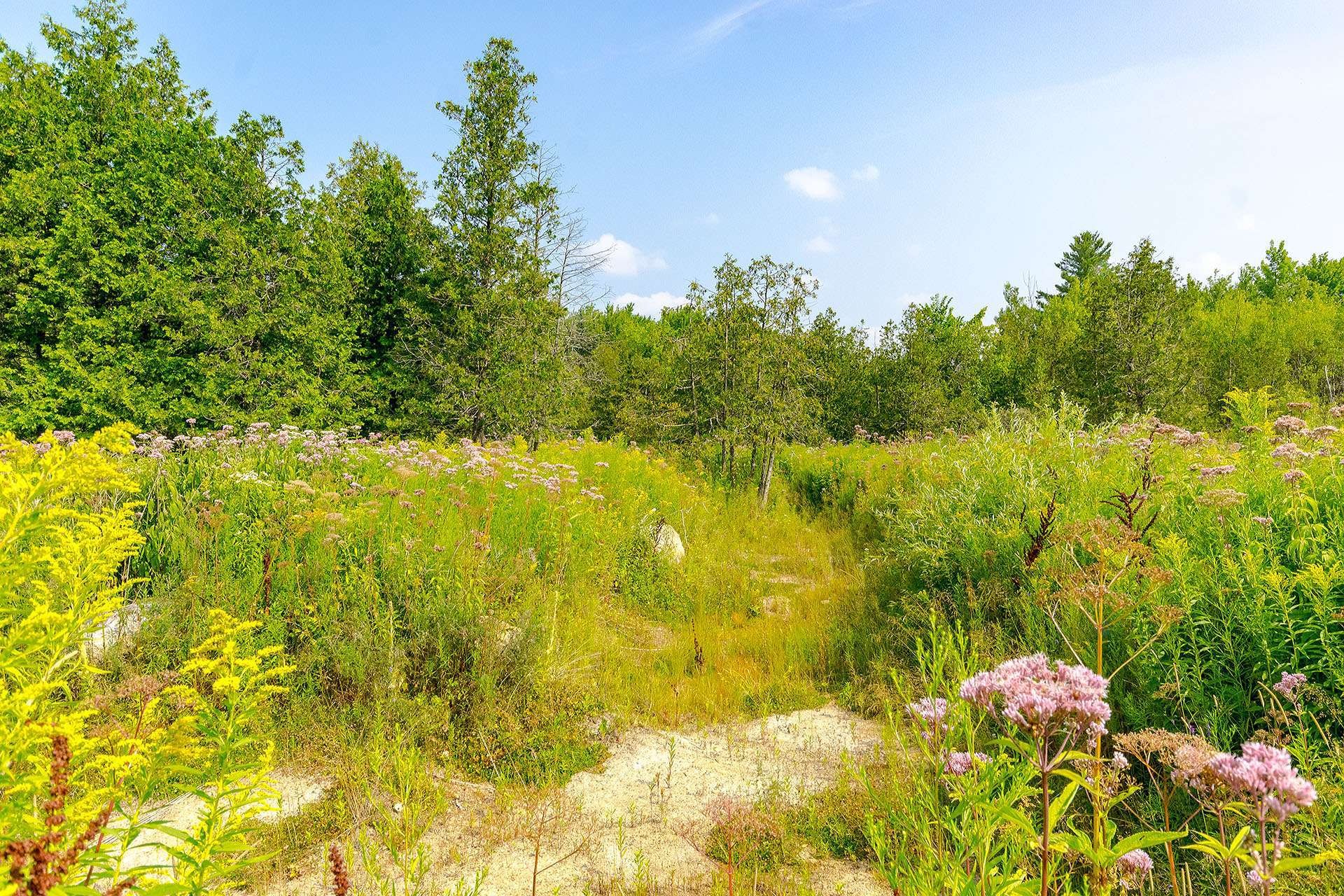 












Ch. de West Brome

,
Lac-Brome,







QC
J0E1V0

