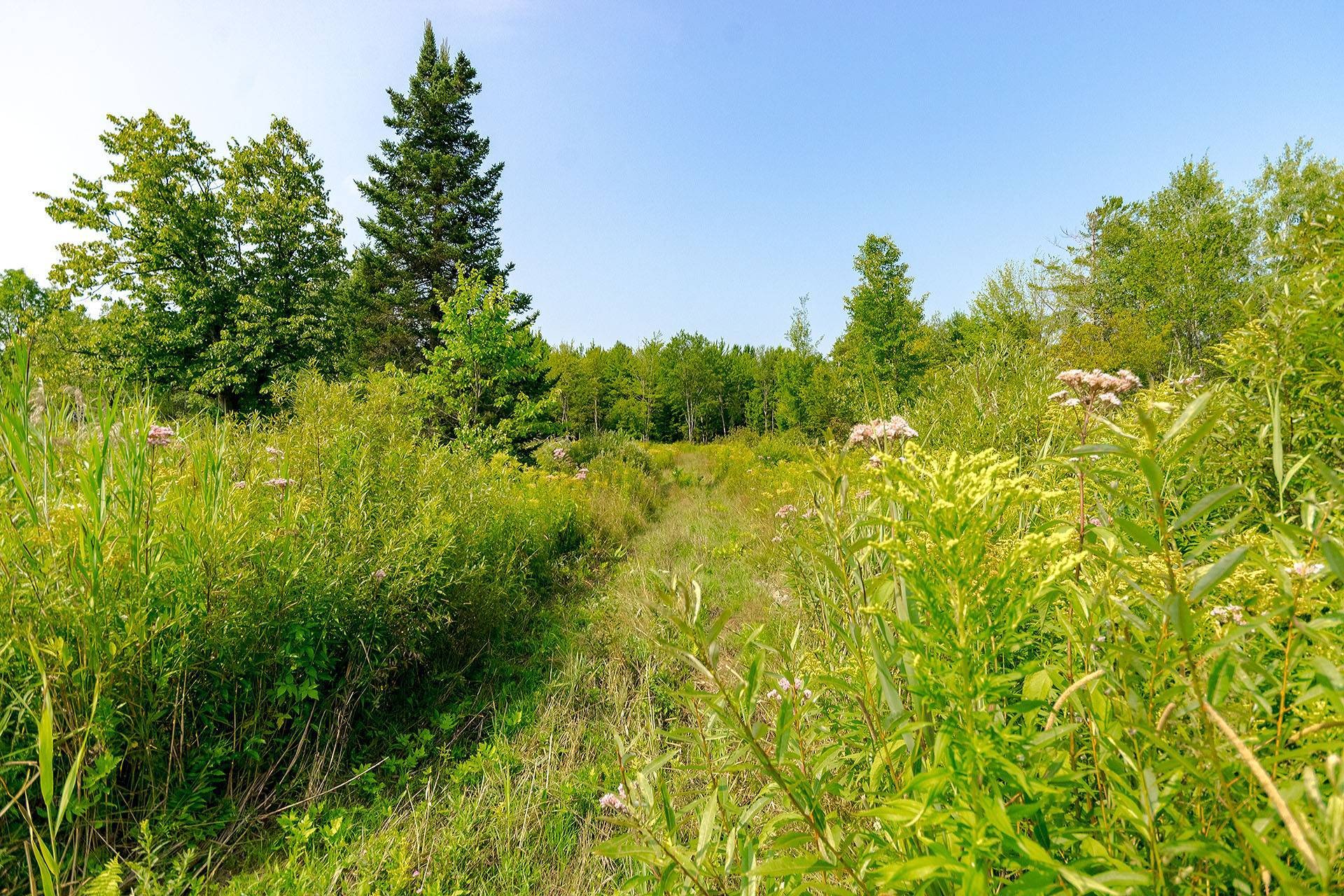 












Ch. de West Brome

,
Lac-Brome,







QC
J0E1V0

