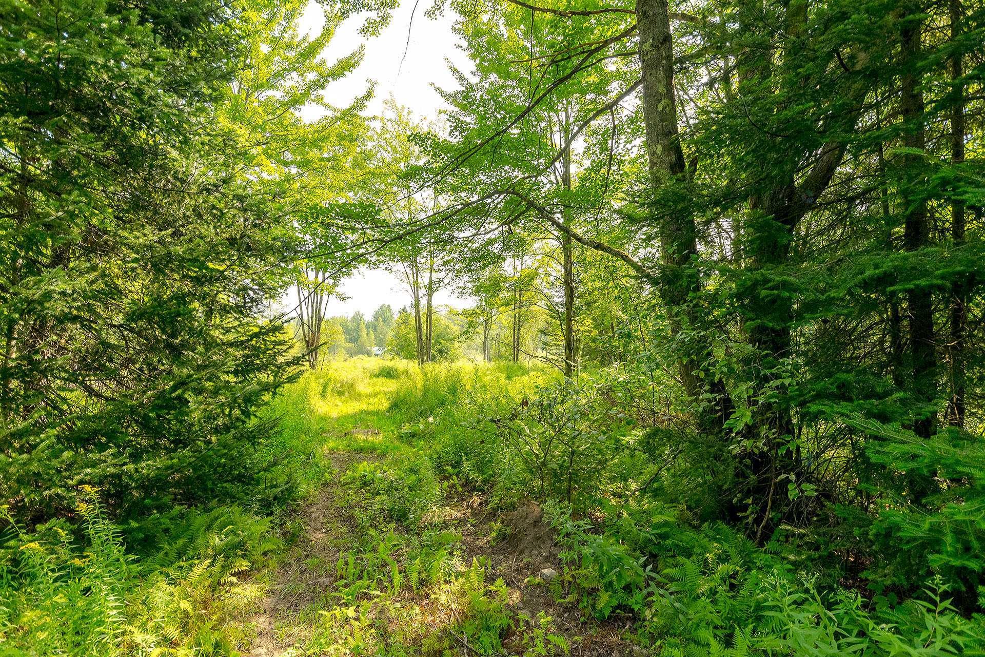 












Ch. de West Brome

,
Lac-Brome,







QC
J0E1V0

