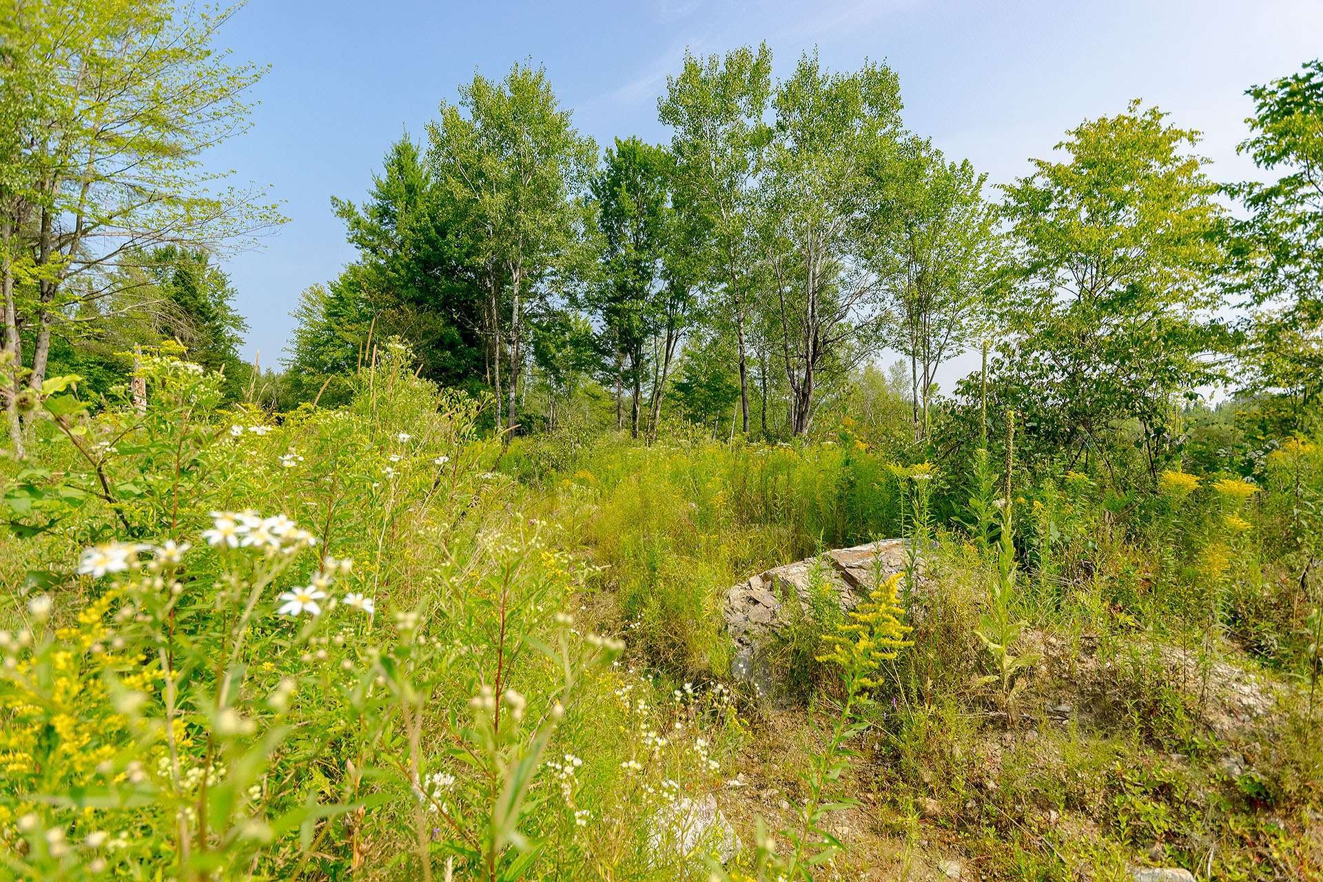 












Ch. de West Brome

,
Lac-Brome,







QC
J0E1V0

