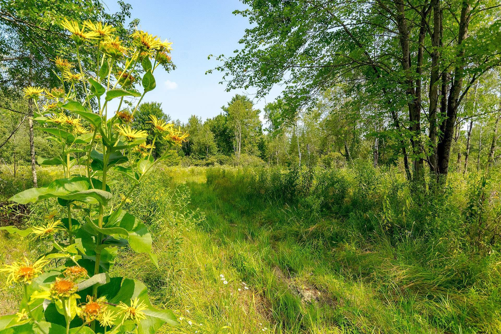 












Ch. de West Brome

,
Lac-Brome,







QC
J0E1V0

