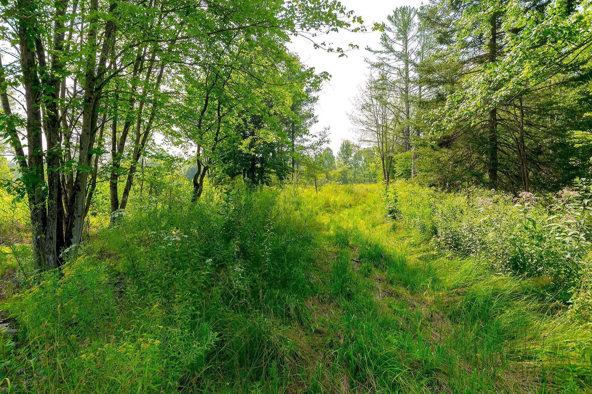 












Ch. de West Brome

,
Lac-Brome,







QC
J0E1V0

