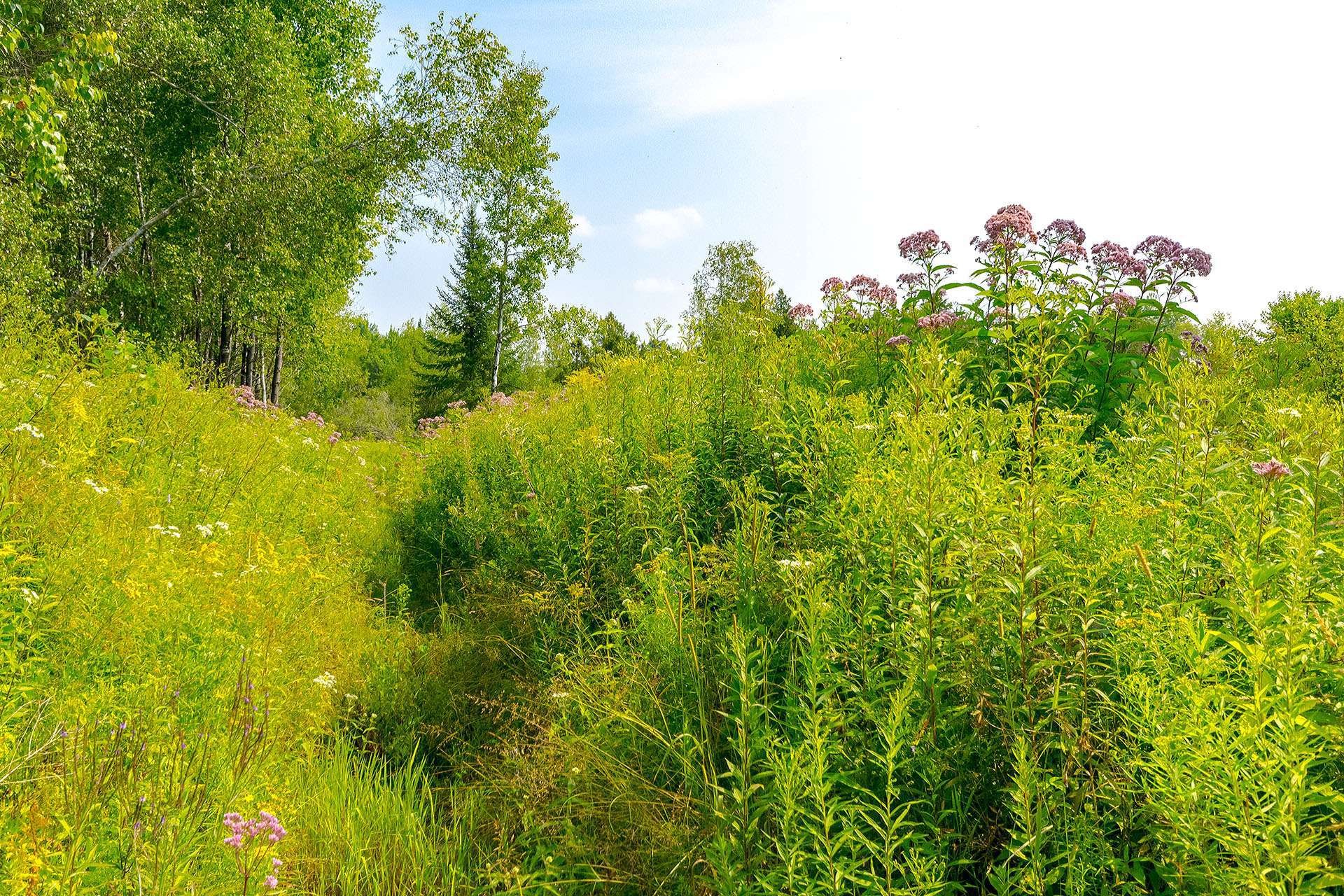 












Ch. de West Brome

,
Lac-Brome,







QC
J0E1V0

