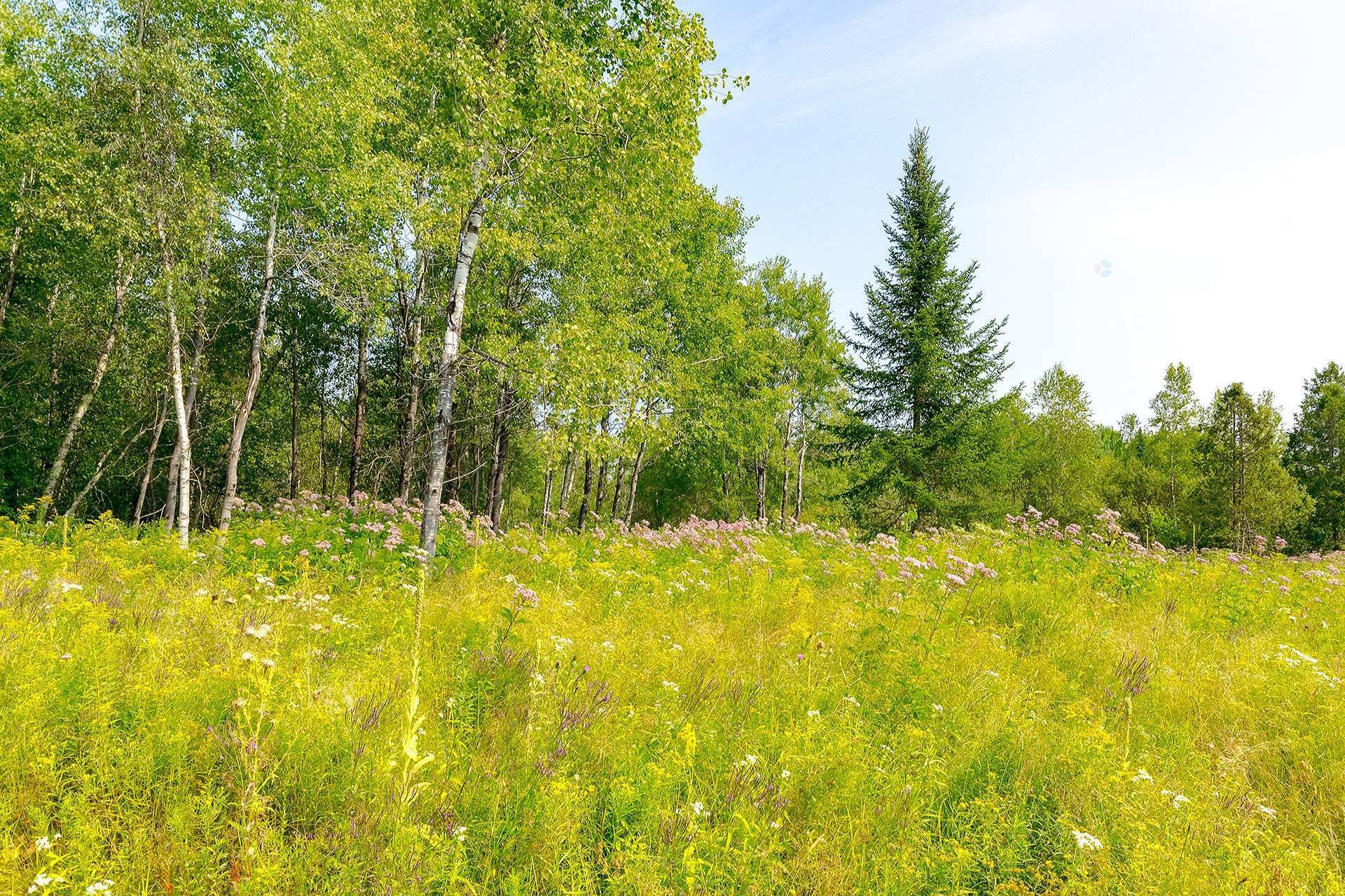 












Ch. de West Brome

,
Lac-Brome,







QC
J0E1V0

