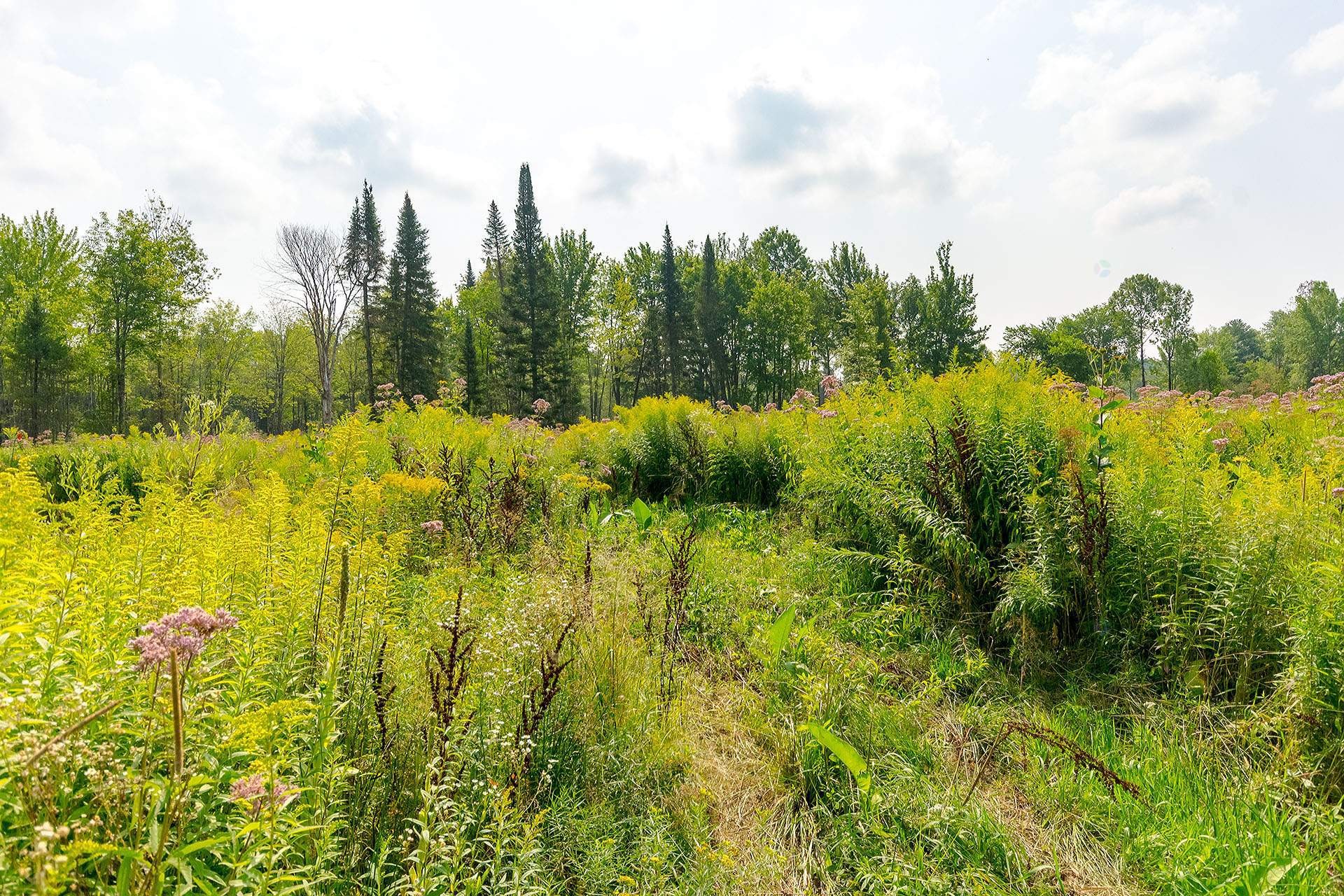 












Ch. de West Brome

,
Lac-Brome,







QC
J0E1V0

