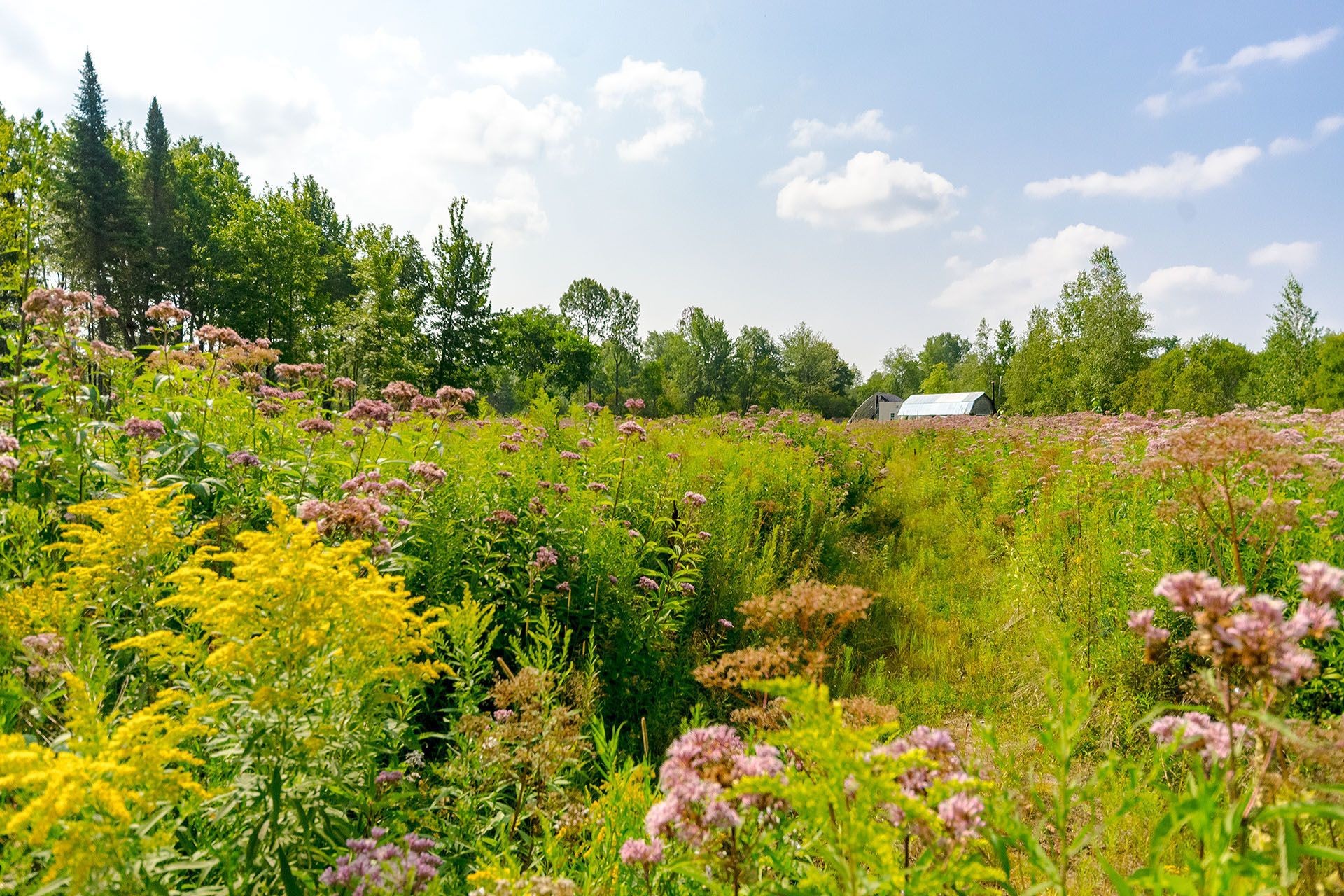 












Ch. de West Brome

,
Lac-Brome,







QC
J0E1V0

