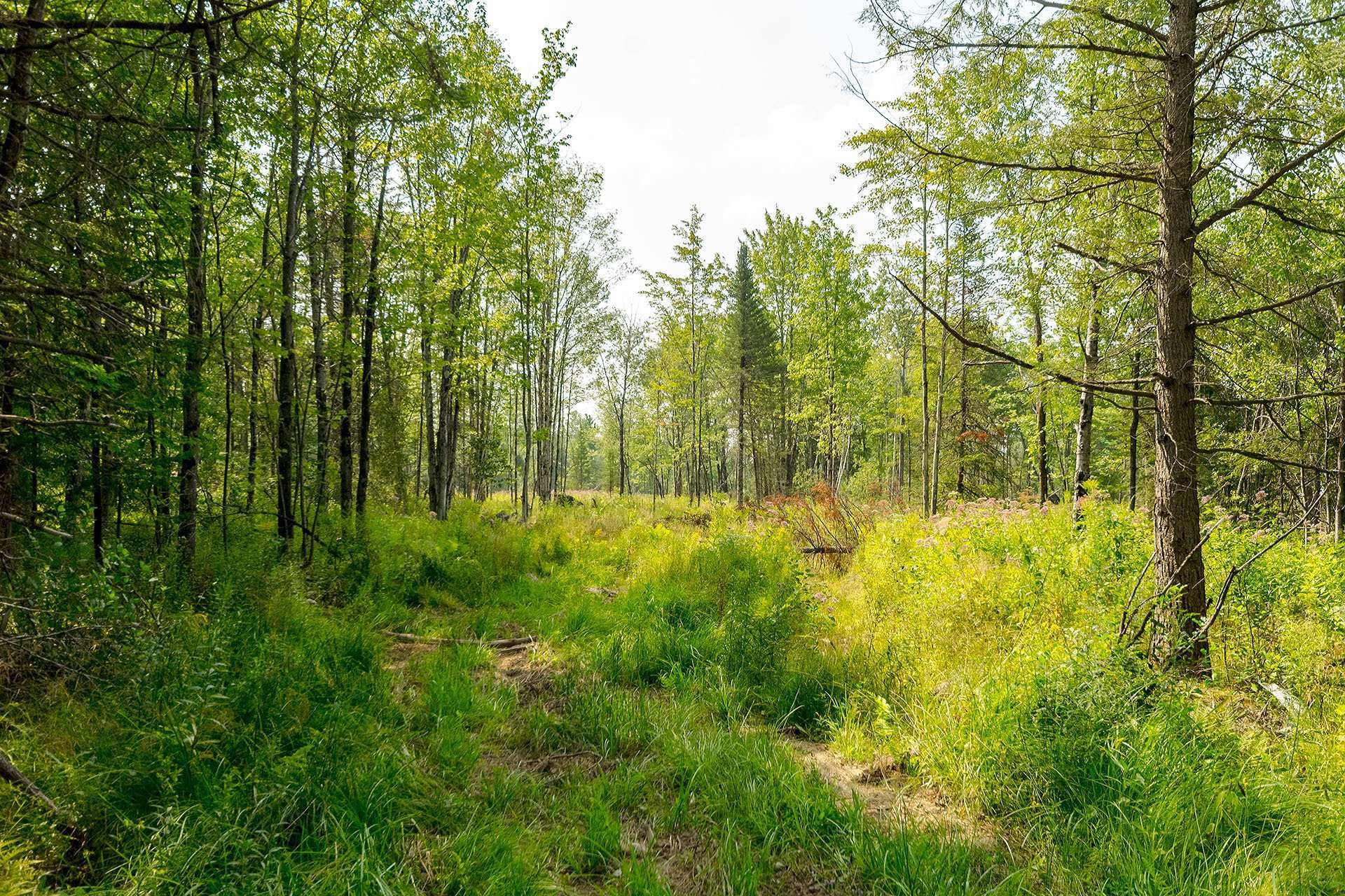 












Ch. de West Brome

,
Lac-Brome,







QC
J0E1V0

