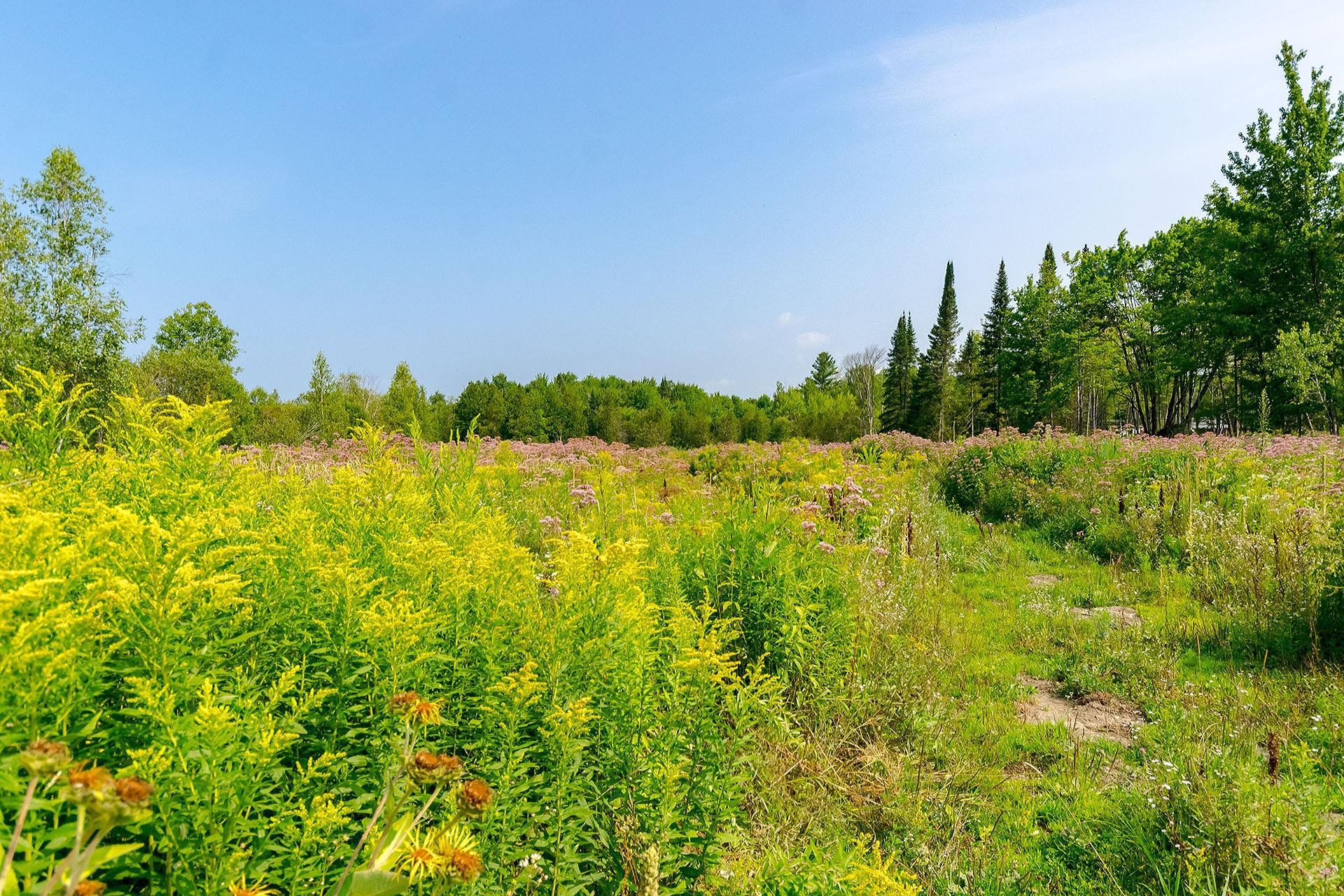 












Ch. de West Brome

,
Lac-Brome,







QC
J0E1V0

