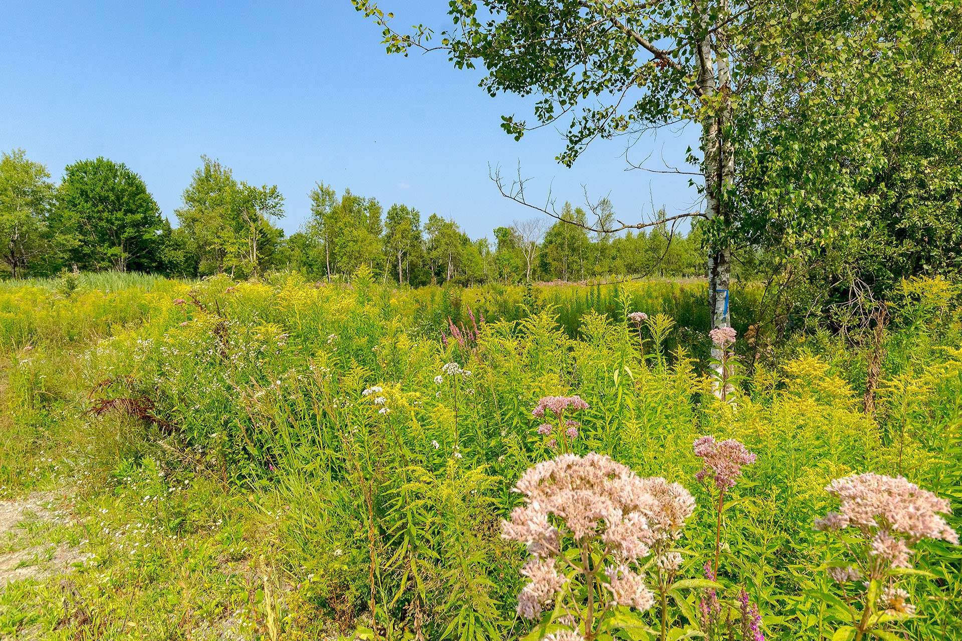 












Ch. de West Brome

,
Lac-Brome,







QC
J0E1V0

