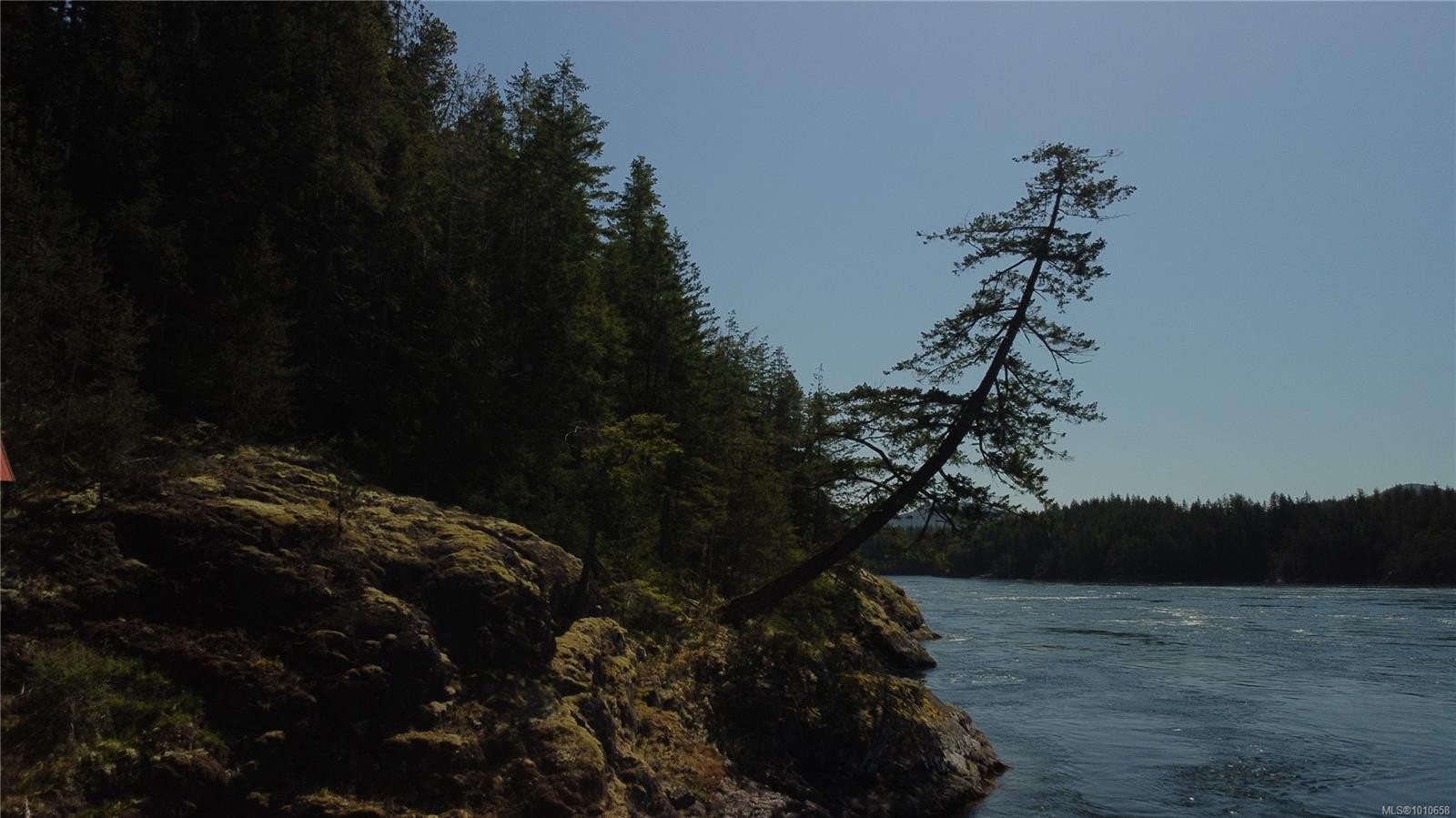 









Lot 49


Busby

Island,
See Remarks,




BC
V0P 1W0

