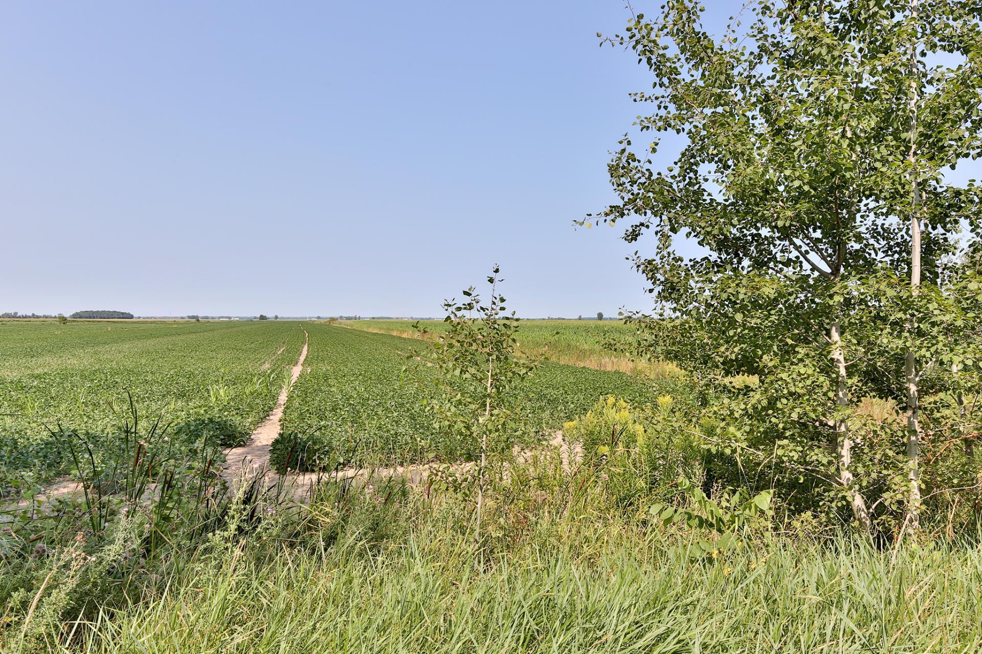 









1280


Rg des Dussault

,
Saint-Alexandre,




QC
J0J1S0

