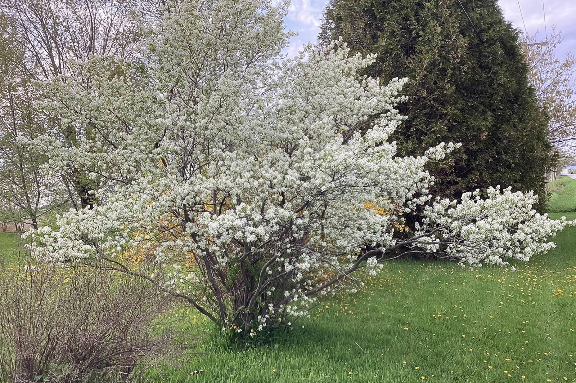 









1280


Rg des Dussault

,
Saint-Alexandre,




QC
J0J1S0

