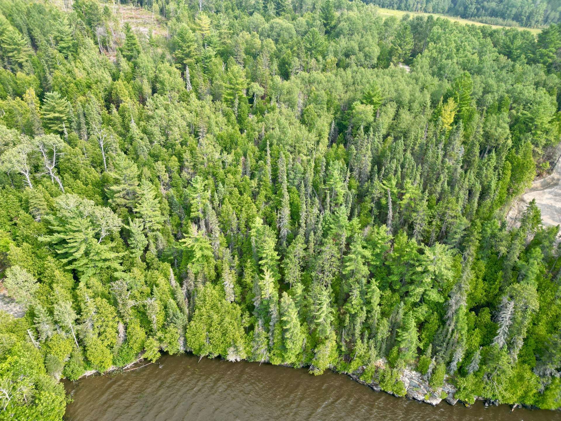 












Ch. de la Pointe-Martel

,
Saint-Édouard-de-Fabre,







QC
J0Z1Z0

