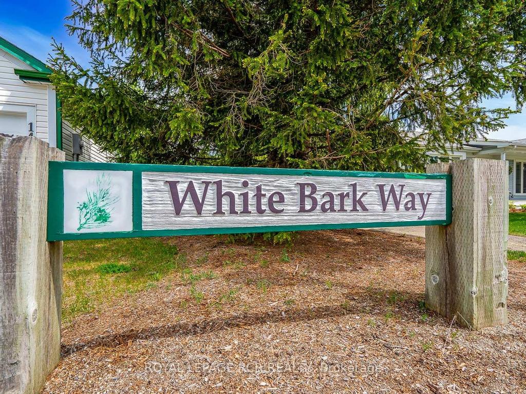 









32


White Bark

Way,
Centre Wellington,




ON
N0B 1J0

