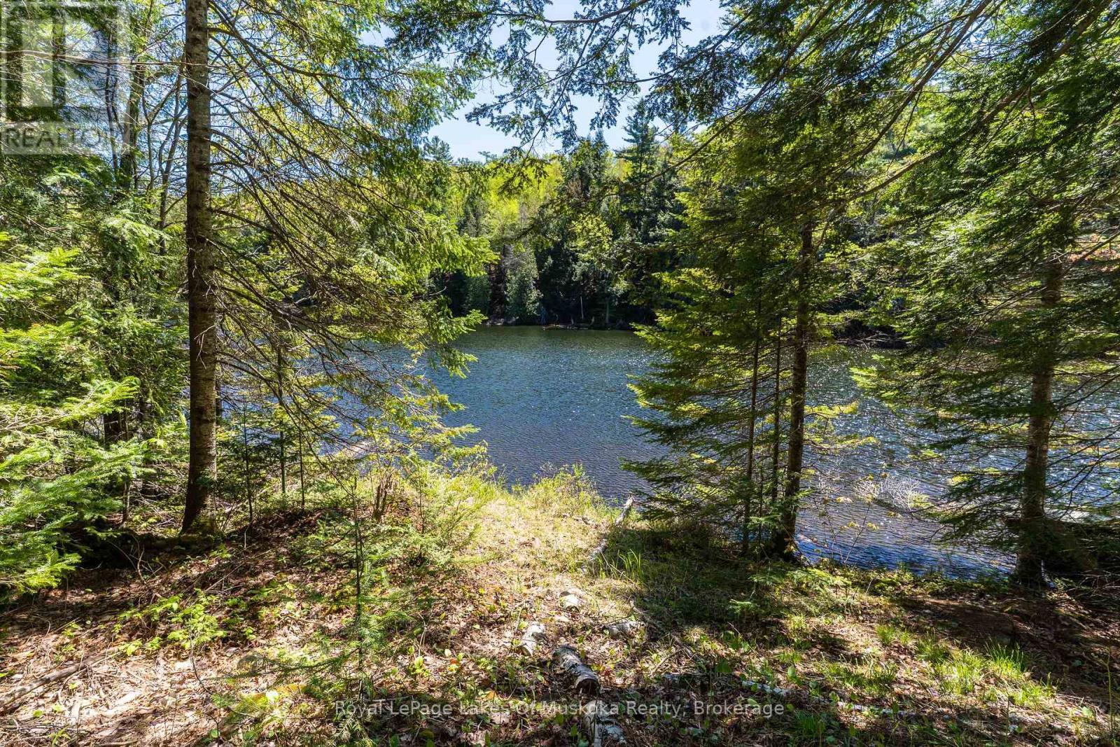 












1143 CRANE LAKE DRIVE

,
Algonquin Highlands (Sherborne),




Ontario
P0A1E0

