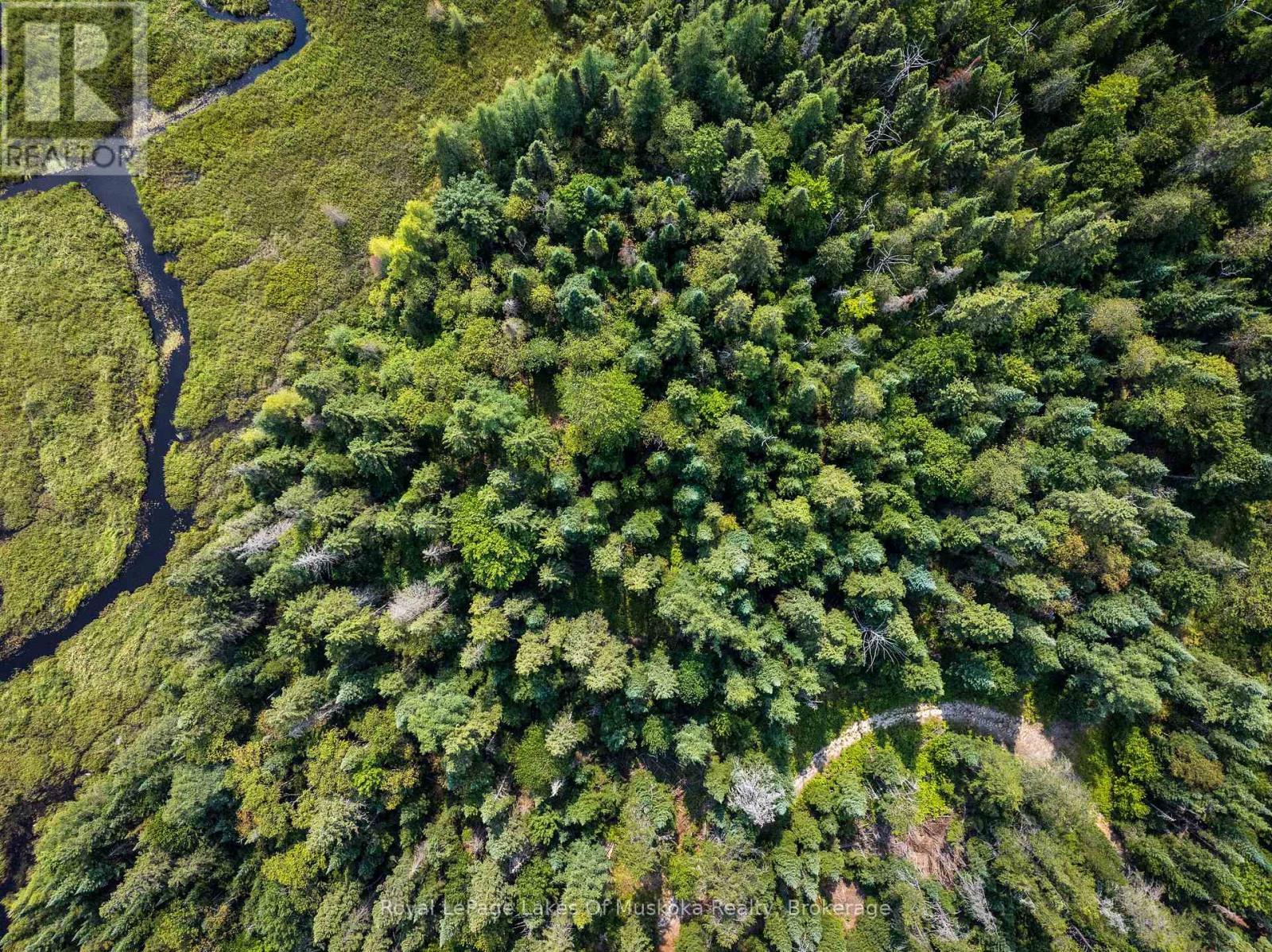 












1590 YEARLEY ROAD

,
Huntsville (Stephenson),




Ontario
P0B1M0

