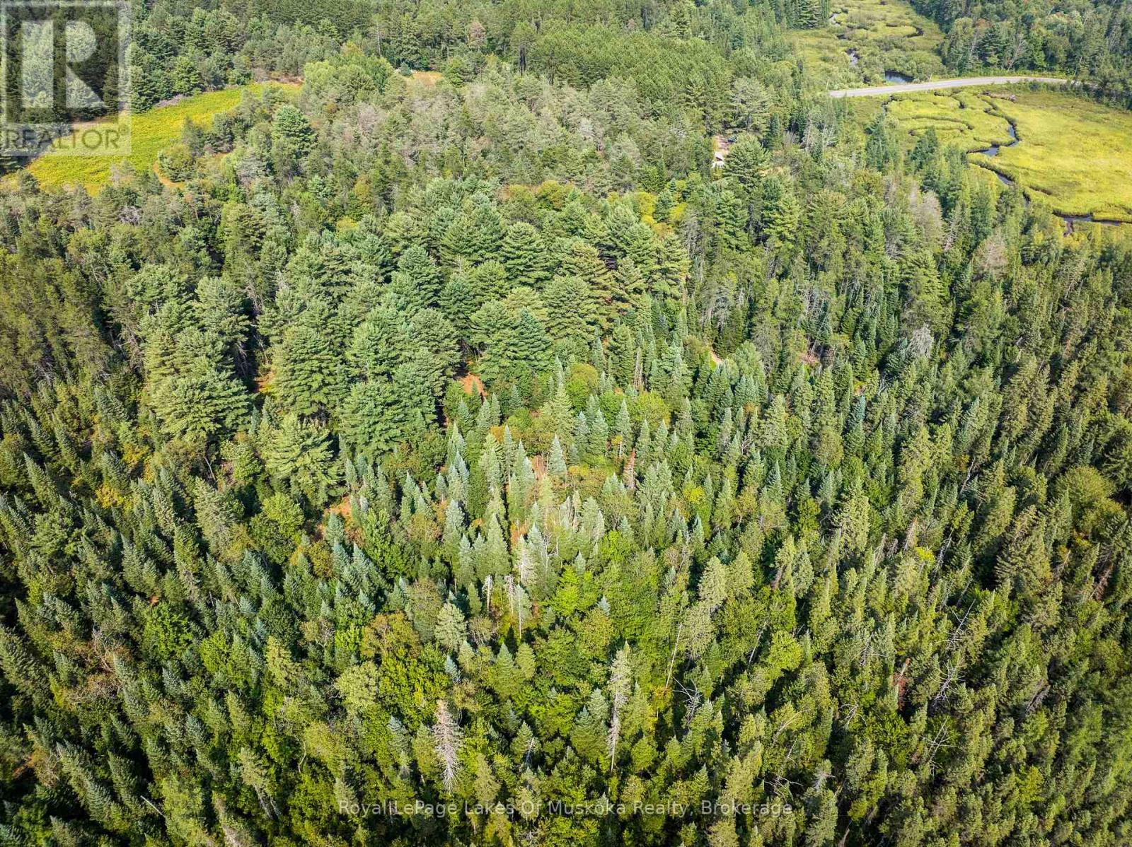 












1590 YEARLEY ROAD

,
Huntsville (Stephenson),




Ontario
P0B1M0

