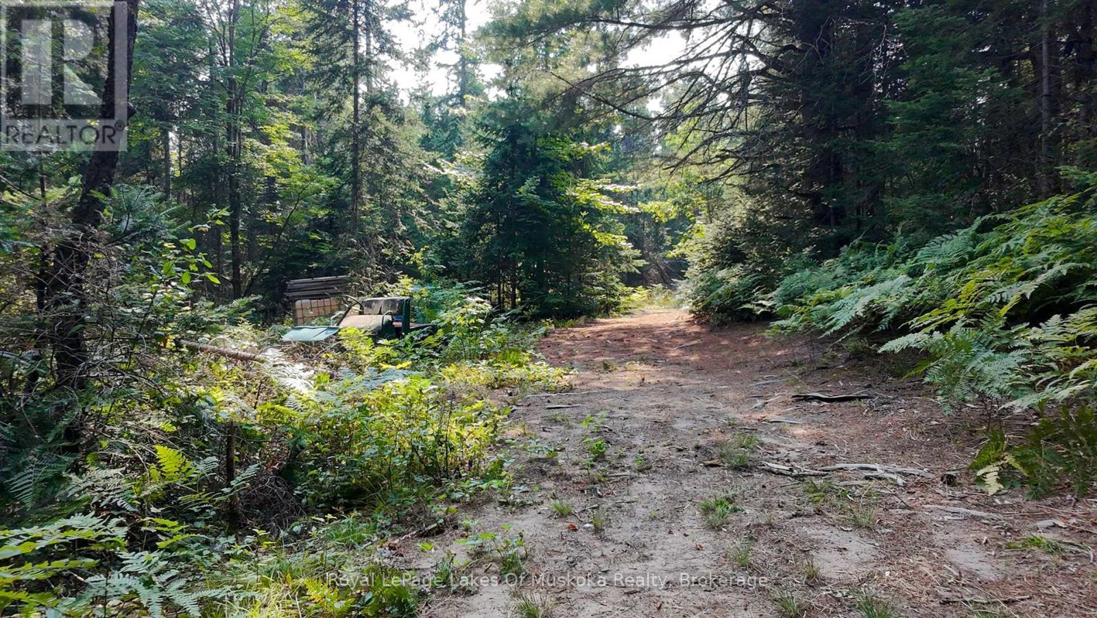 












1590 YEARLEY ROAD

,
Huntsville (Stephenson),




Ontario
P0B1M0

