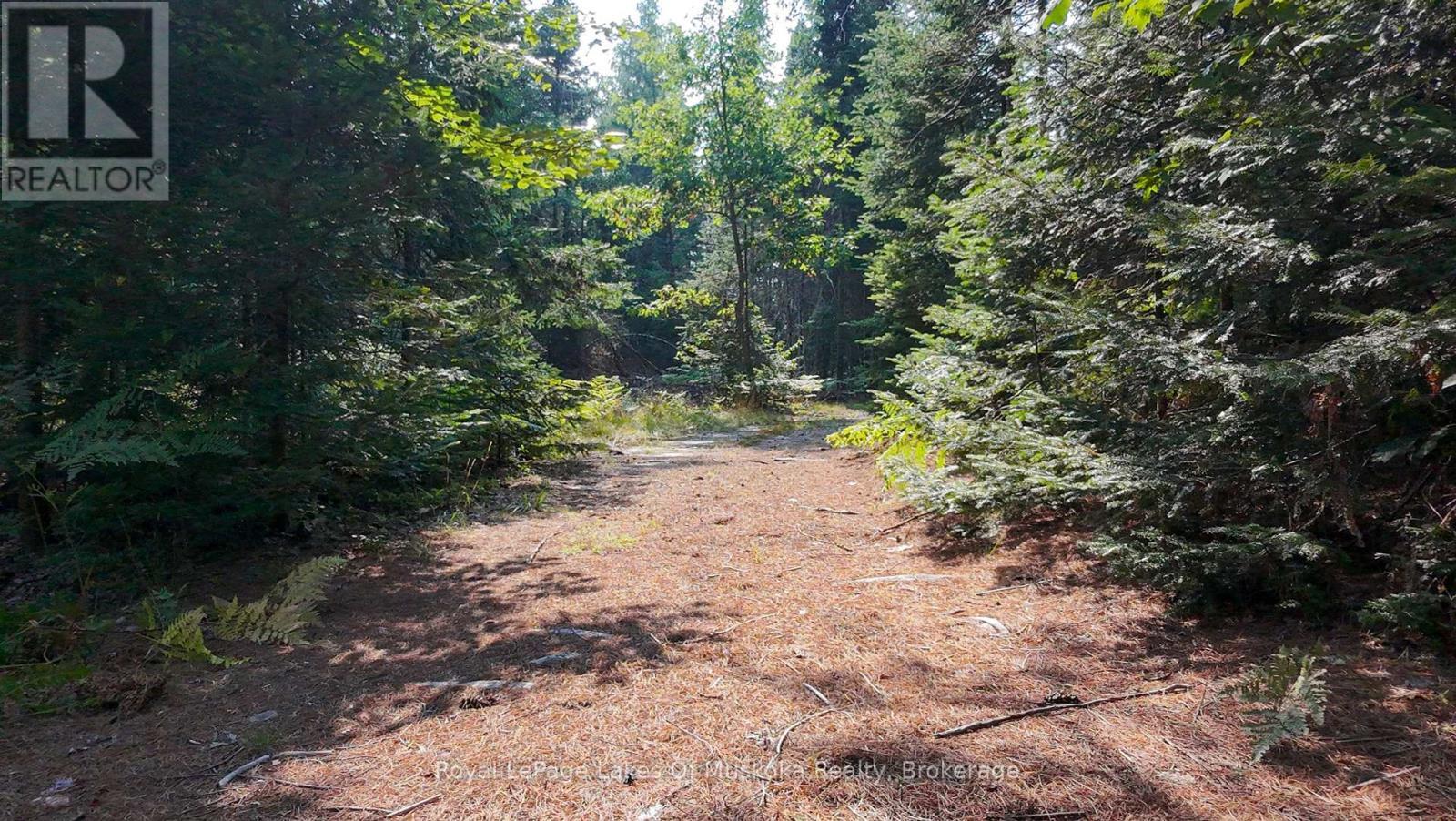 












1590 YEARLEY ROAD

,
Huntsville (Stephenson),




Ontario
P0B1M0

