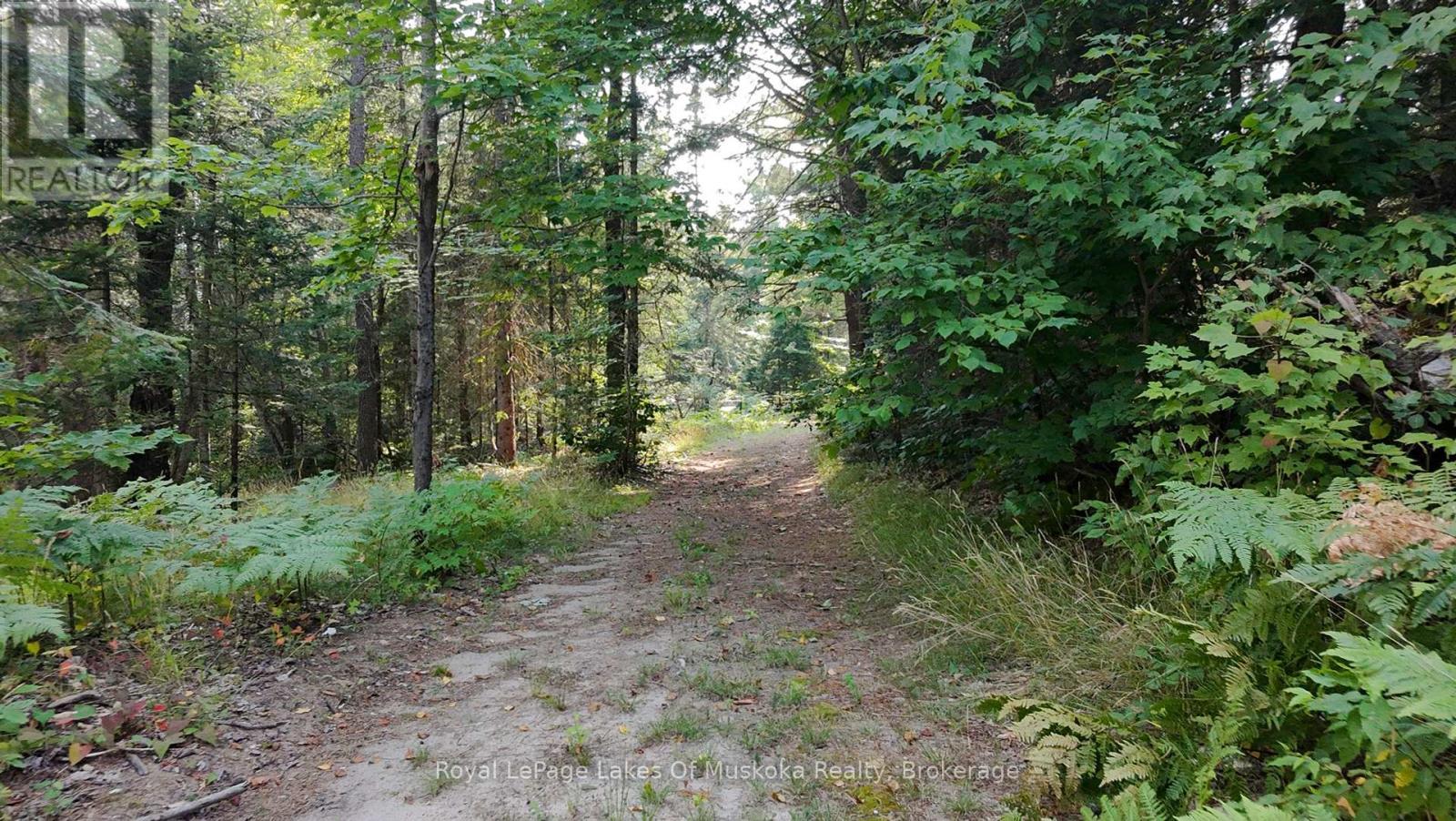 












1590 YEARLEY ROAD

,
Huntsville (Stephenson),




Ontario
P0B1M0

