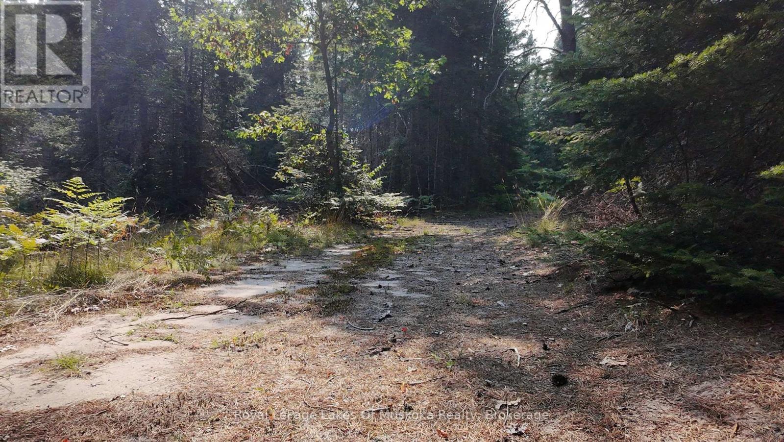












1590 YEARLEY ROAD

,
Huntsville (Stephenson),




Ontario
P0B1M0

