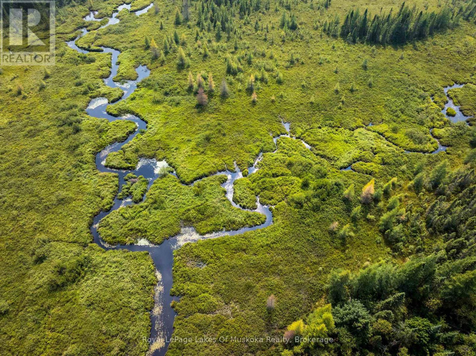 












1590 YEARLEY ROAD

,
Huntsville (Stephenson),




Ontario
P0B1M0

