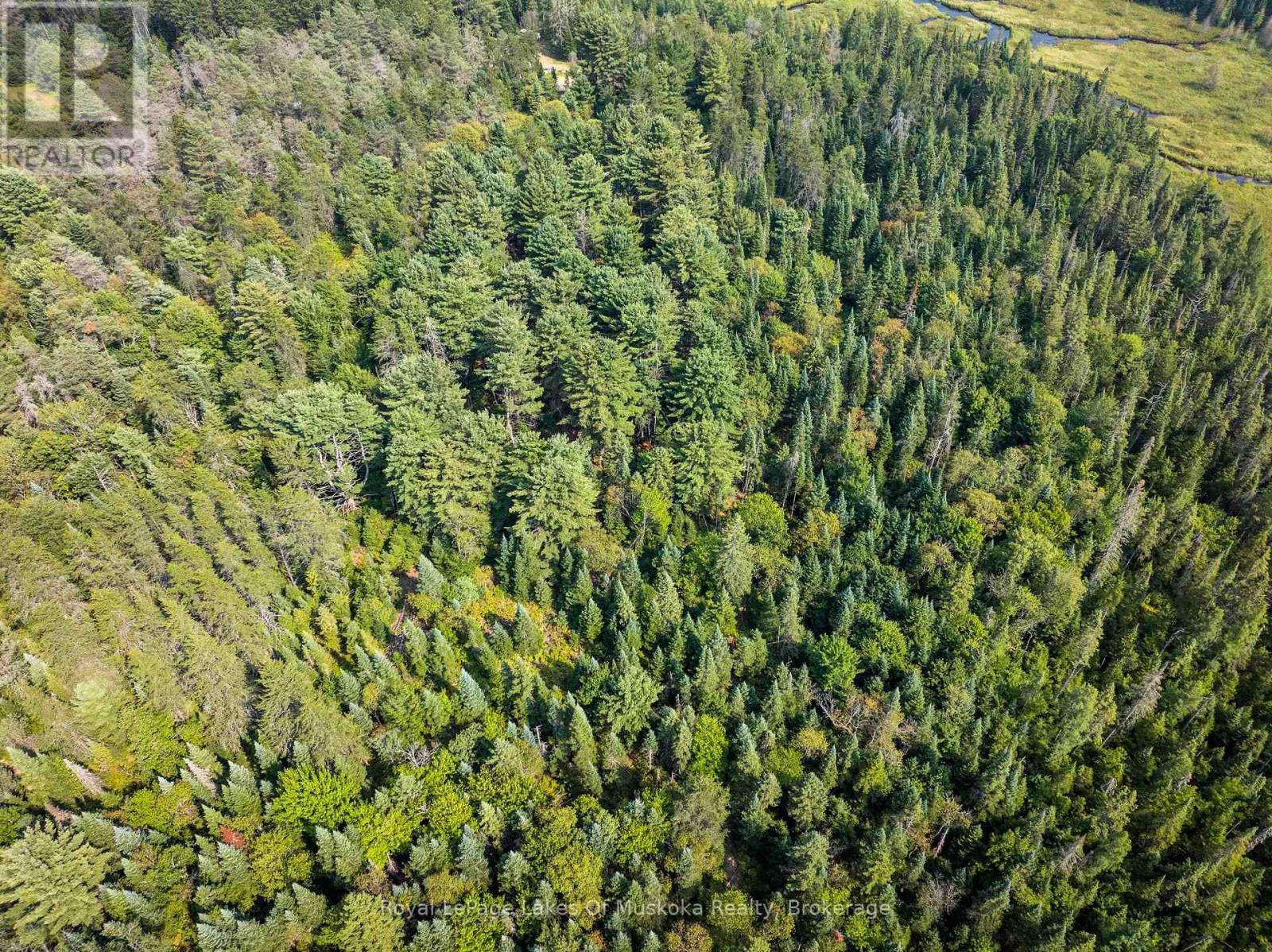 












1590 YEARLEY ROAD

,
Huntsville (Stephenson),




Ontario
P0B1M0

