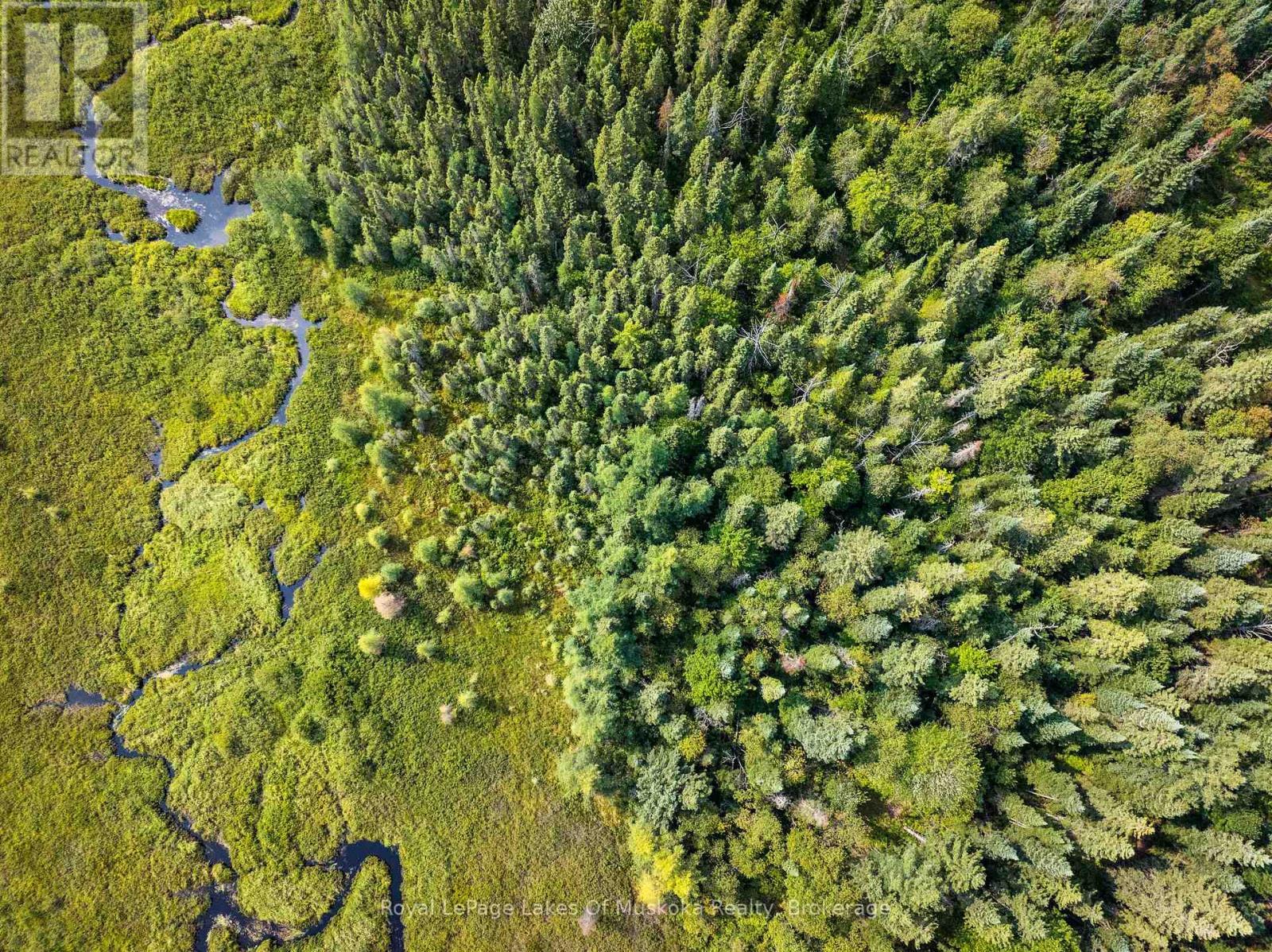 












1590 YEARLEY ROAD

,
Huntsville (Stephenson),




Ontario
P0B1M0

