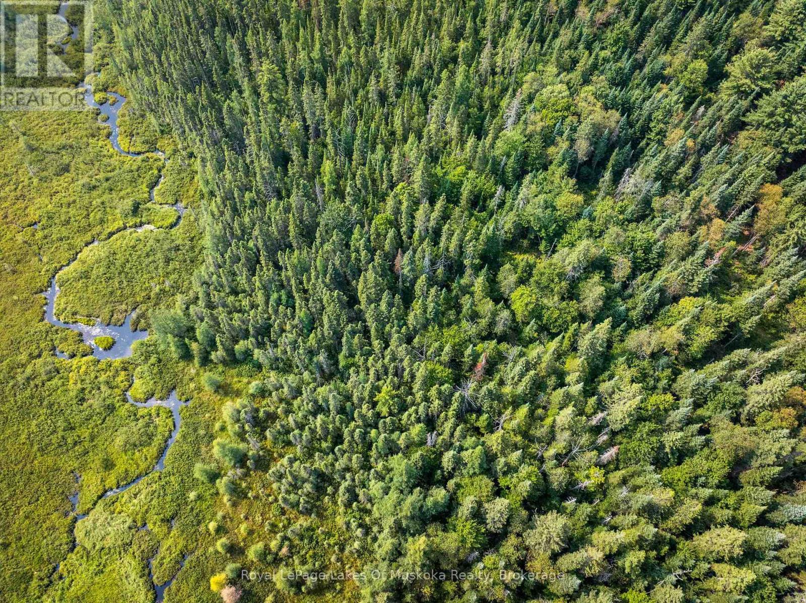 












1590 YEARLEY ROAD

,
Huntsville (Stephenson),




Ontario
P0B1M0

