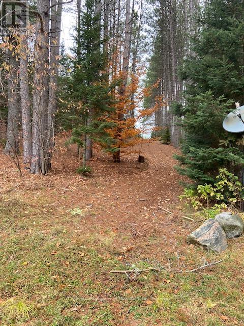 












1590 YEARLEY ROAD

,
Huntsville (Stephenson),




Ontario
P0B1M0

