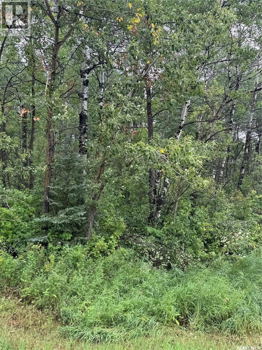 












Kerlak Cabin retreat acres

,
Hudson Bay Rm No. 394,







Saskatchewan
S0E0Y0

