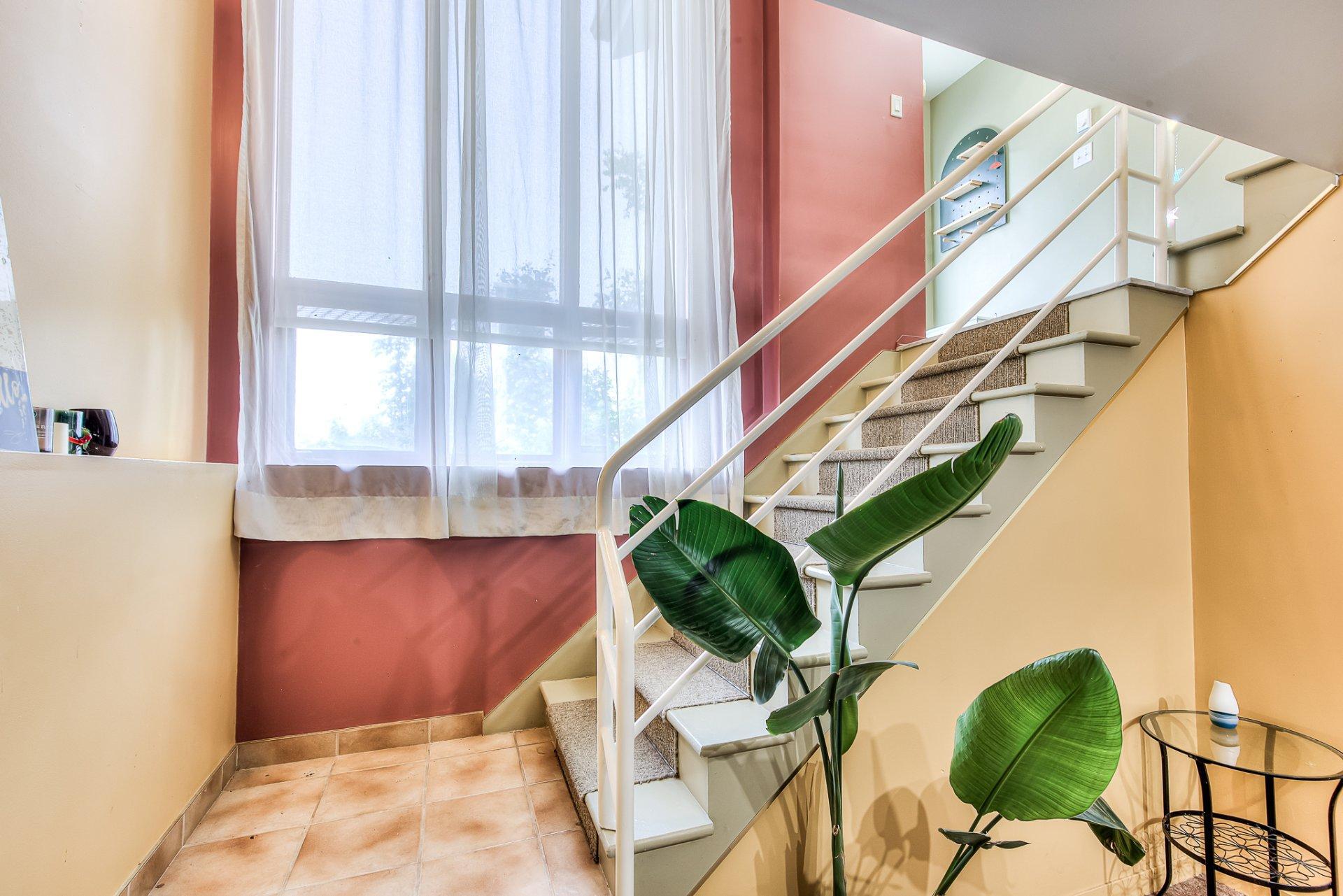 









55


Rue Perras

,
La Prairie,




QC
J5R5Y4

