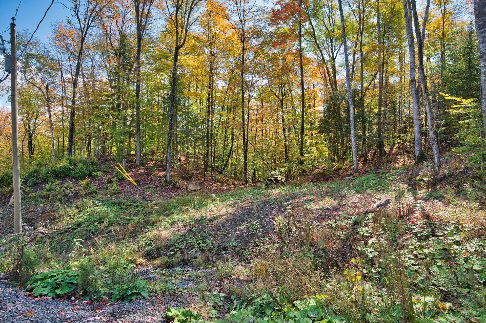 












Ch. des Audacieux

,
La Conception,







QC
J0T1M0

