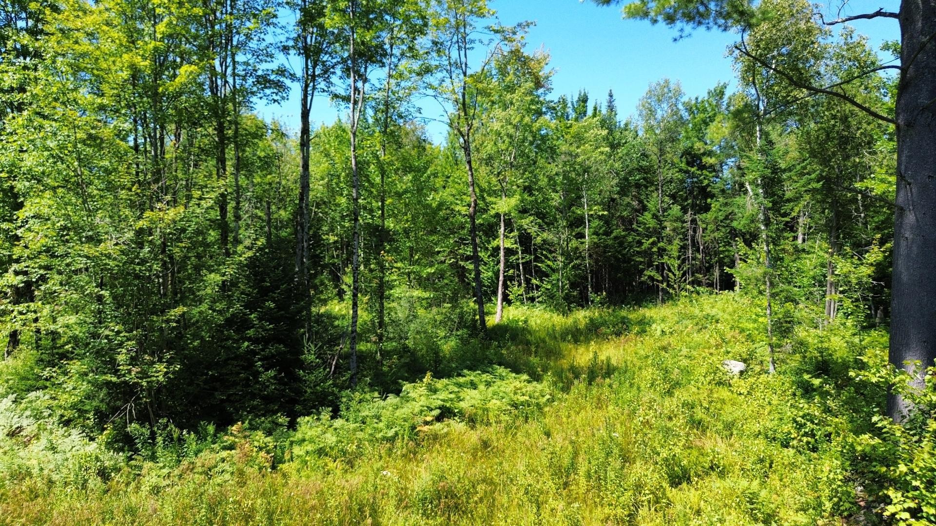 












Route 112

,
Beaulac-Garthby,







QC
G0Y1B0

