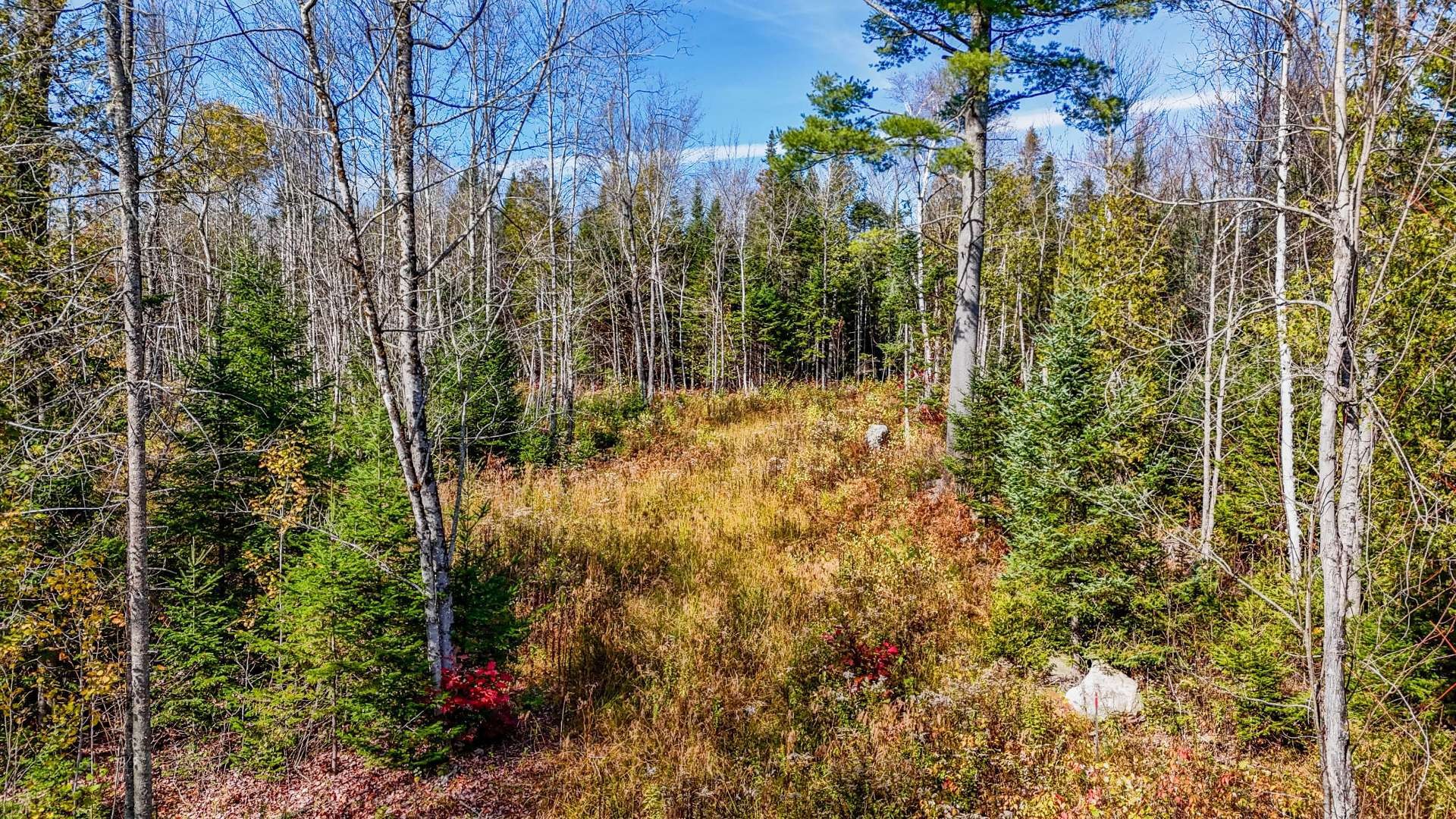 












Route 112

,
Beaulac-Garthby,







QC
G0Y1B0

