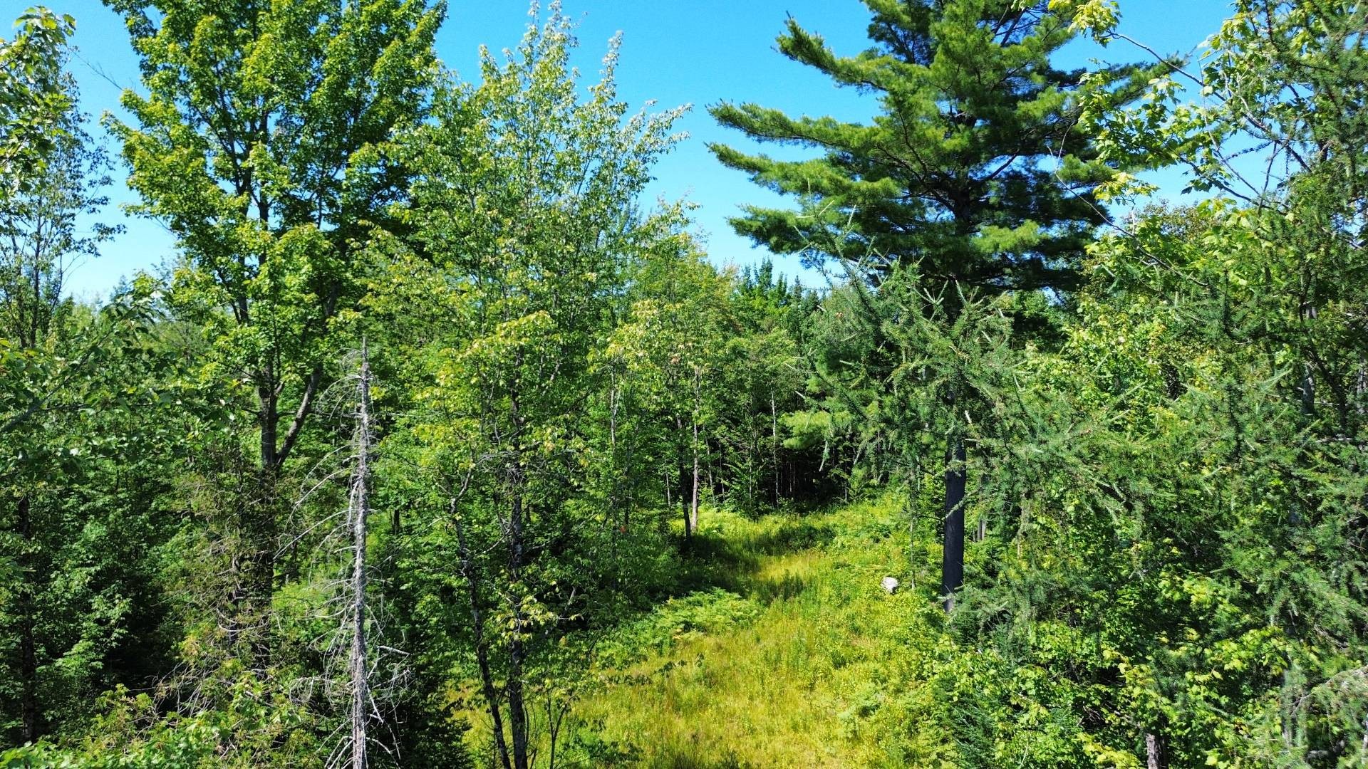 












Route 112

,
Beaulac-Garthby,







QC
G0Y1B0

