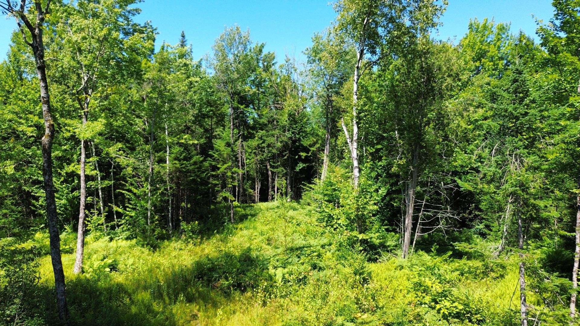 












Route 112

,
Beaulac-Garthby,







QC
G0Y1B0

