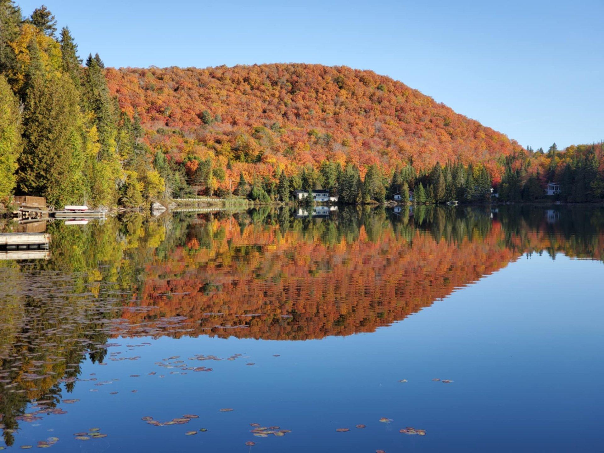









123


Desc. des Cèdres

,
Lantier,




QC
J0T1V0

