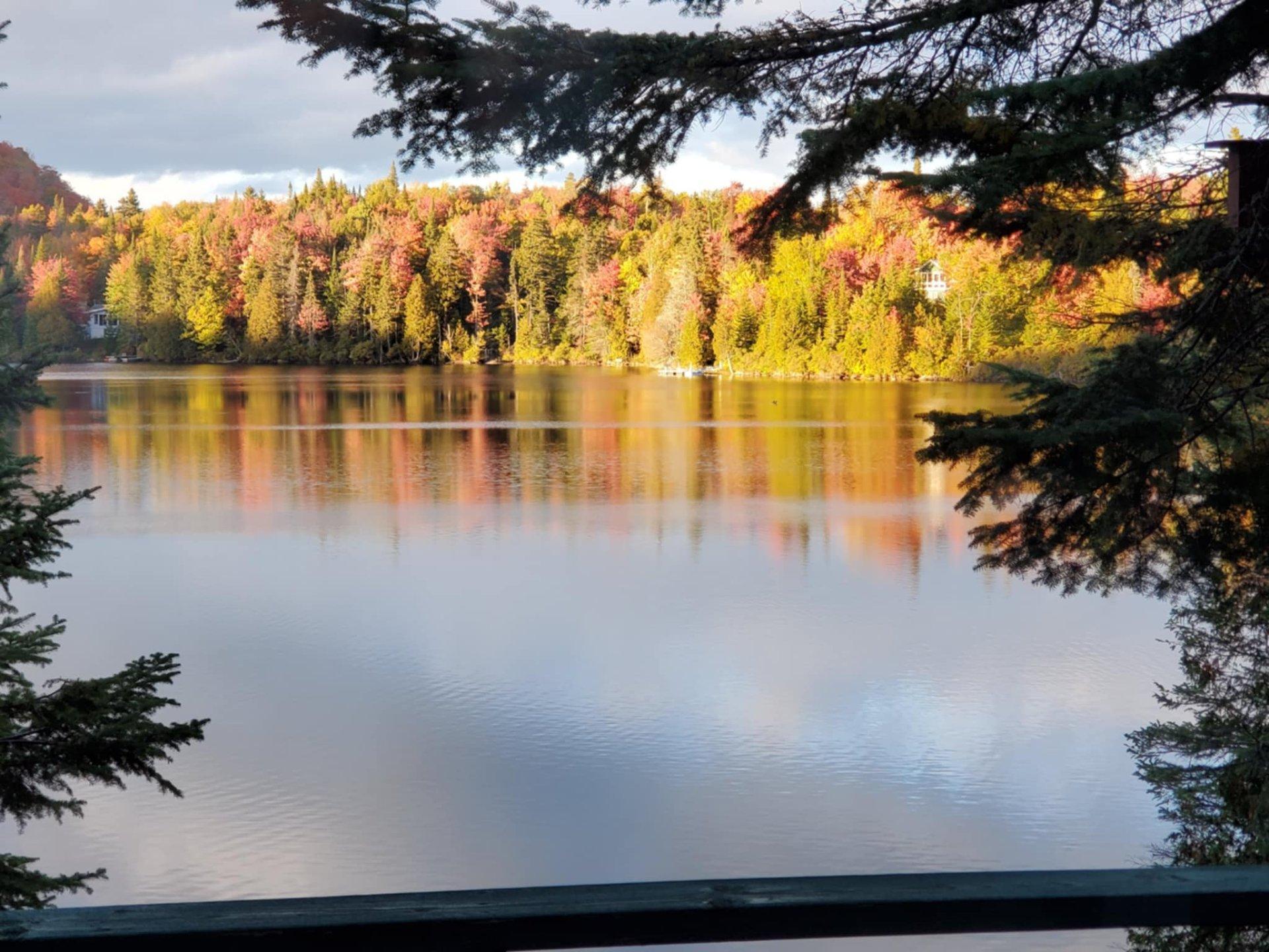 









123


Desc. des Cèdres

,
Lantier,




QC
J0T1V0

