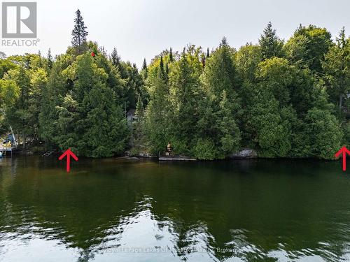 approximate location of side lot lines